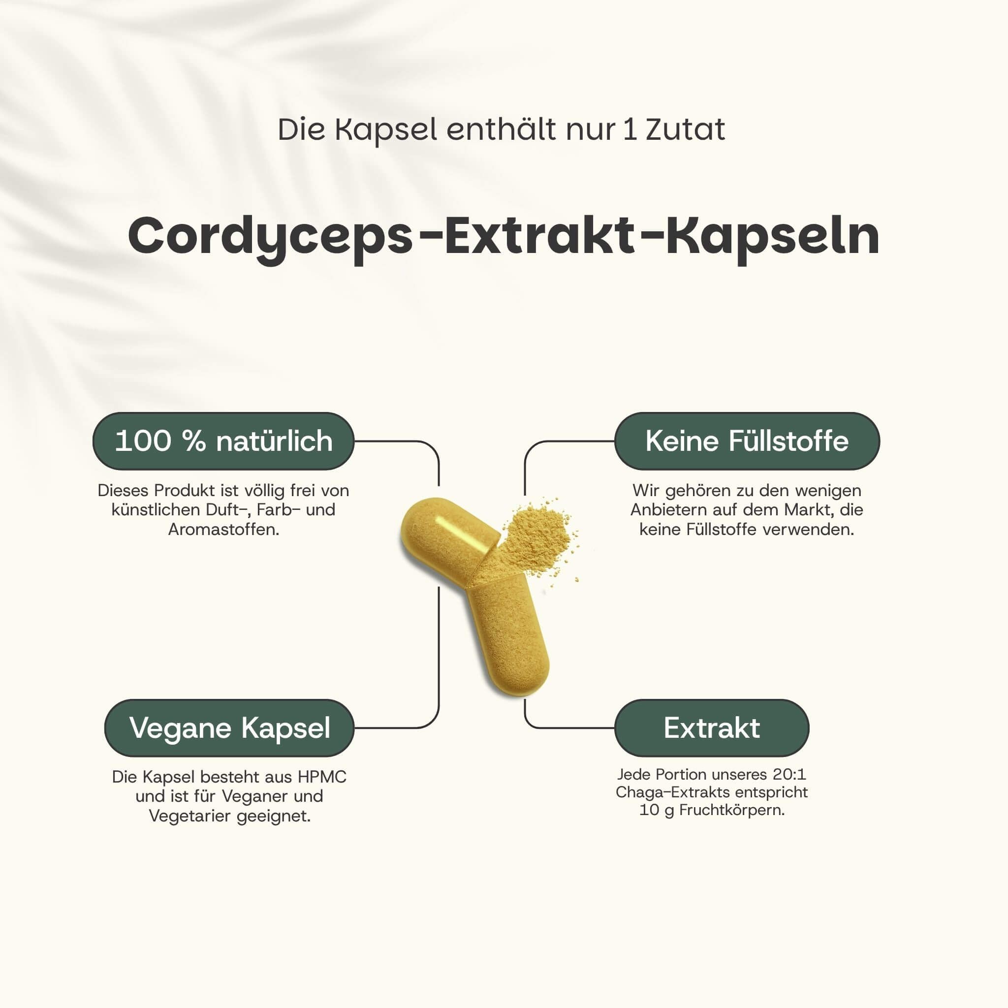 Cordyceps-Pilze in einer Holzschale. Text: Ervaar natuurlijke energie. 400 mg Cordyceps pro Kapsel. EU-Labor getest.