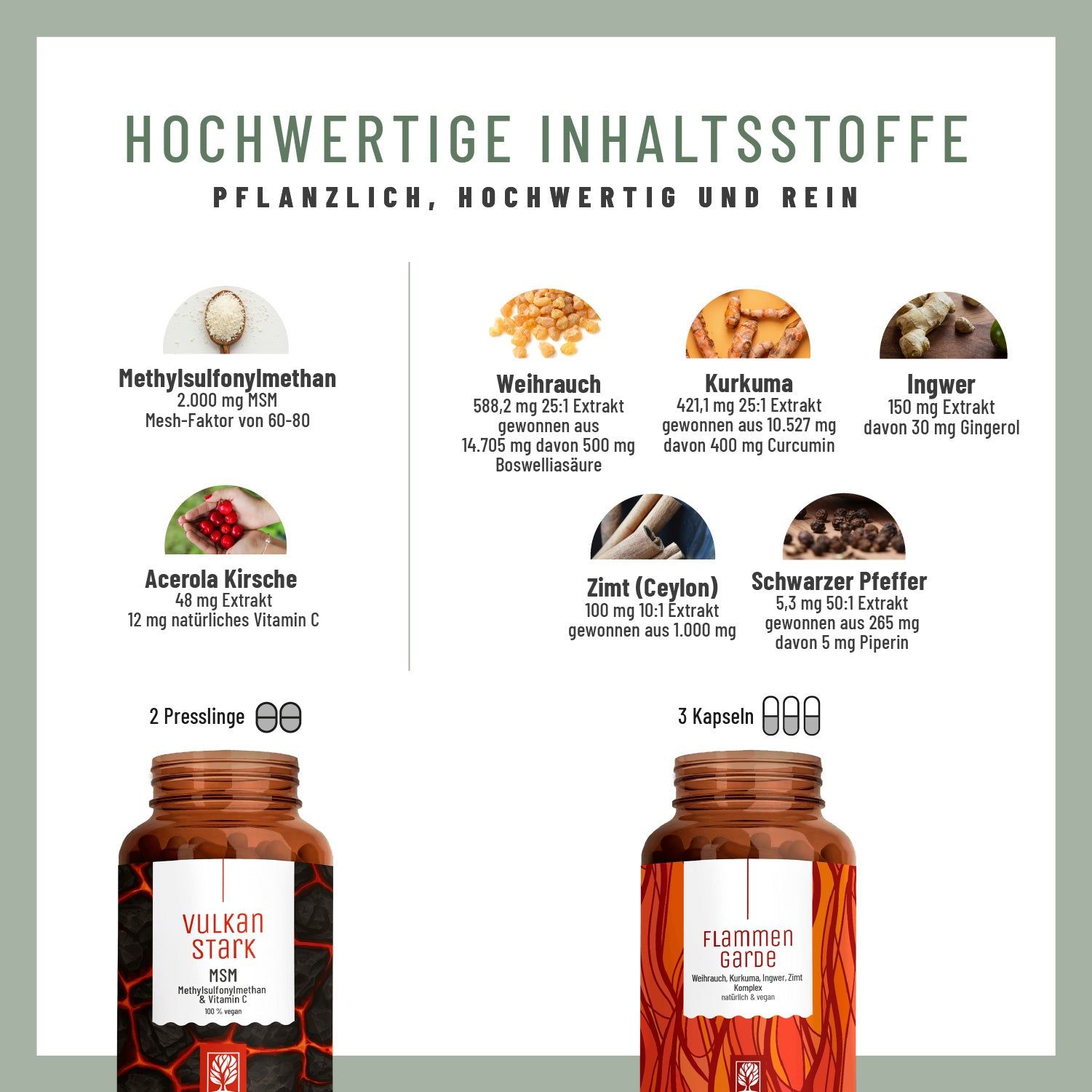 Infografik mit Inhaltsstoffen. MSM, Weihrauch, Kurkuma, Ingwer, Acerola Kirsche, Zimt, Schwarzer Pfeffer. Flaschen abgebildet.