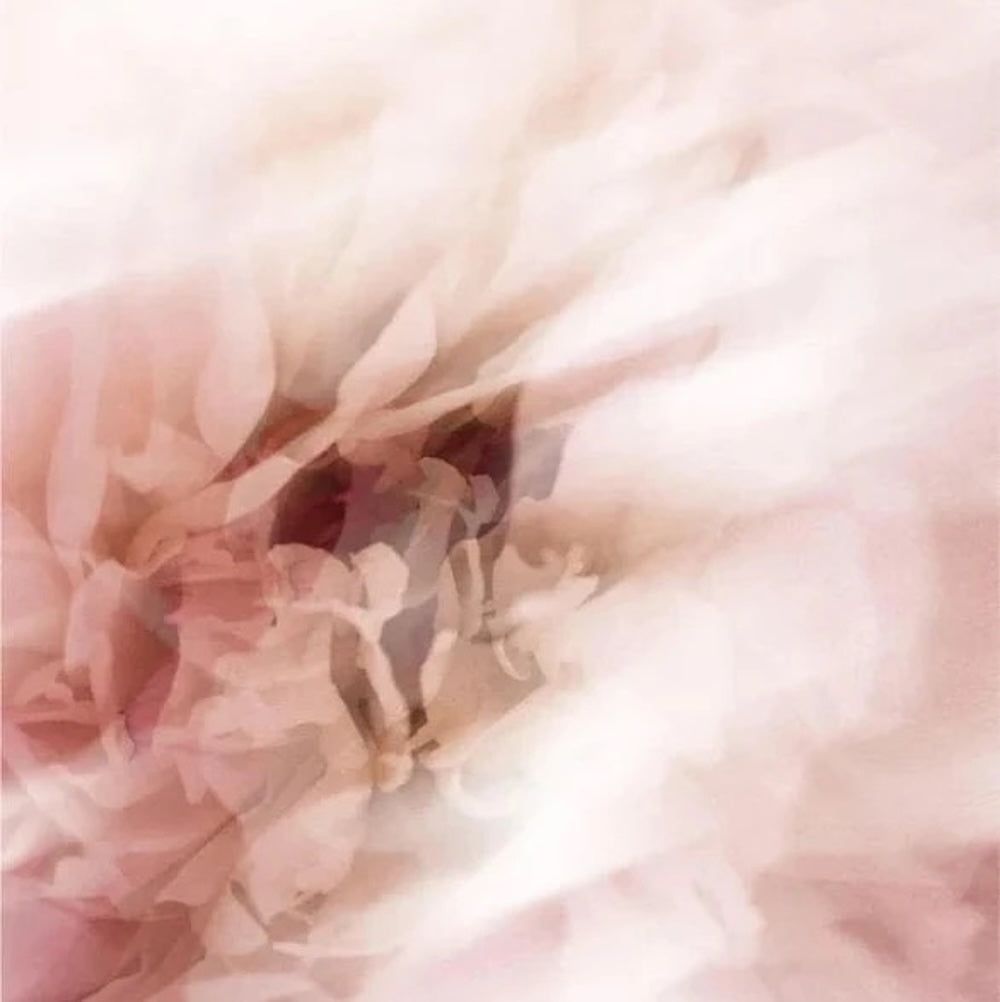 Zero Skin Mineralischer Sonnenschutz SPF50 Stift, ohne Tönung, schützend und pflegend