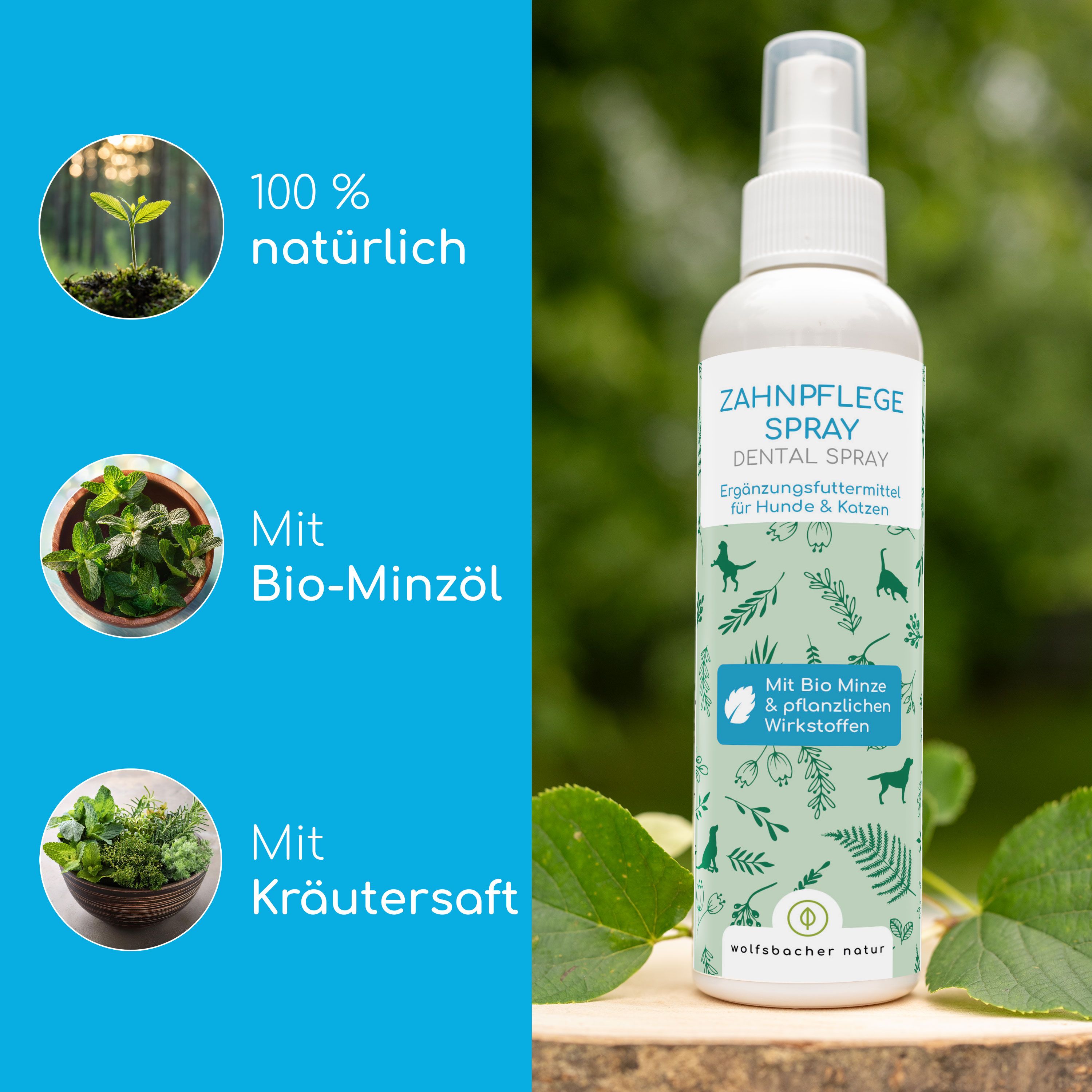 Flasche 'Zahnpflege Spray' mit Text: 'Mit Bio Minze & pflanzlichen Wirkstoffen'. Text: '100% natürlich', 'Mit Bio-Minzöl', 'Mit Kräutersaft'.