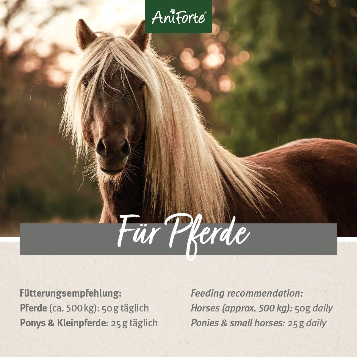 Pferd mit Text. Text: Für Pferde. Fütterungsempfehlung: Pferde (ca. 500 kg): 50 g täglich.