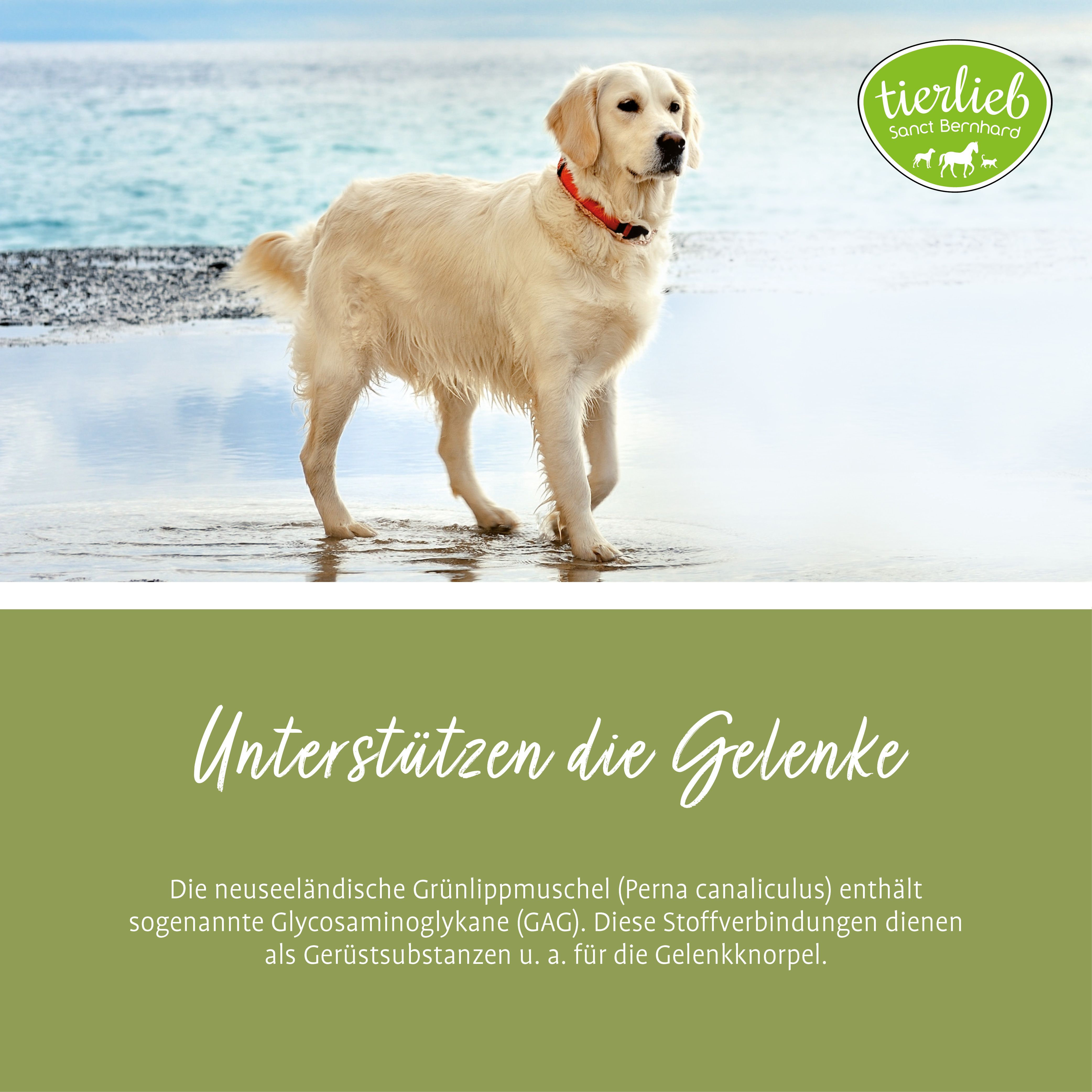 Sanct Bernhard tierlieb Grünlippmuschel Hunde-Kapseln
