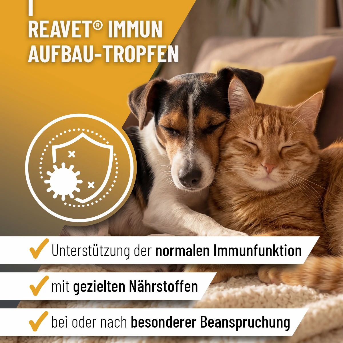 Hund und Katze liegen kuschelnd nebeneinander. Daneben ein Kreis mit Immunsystem-Symbol.