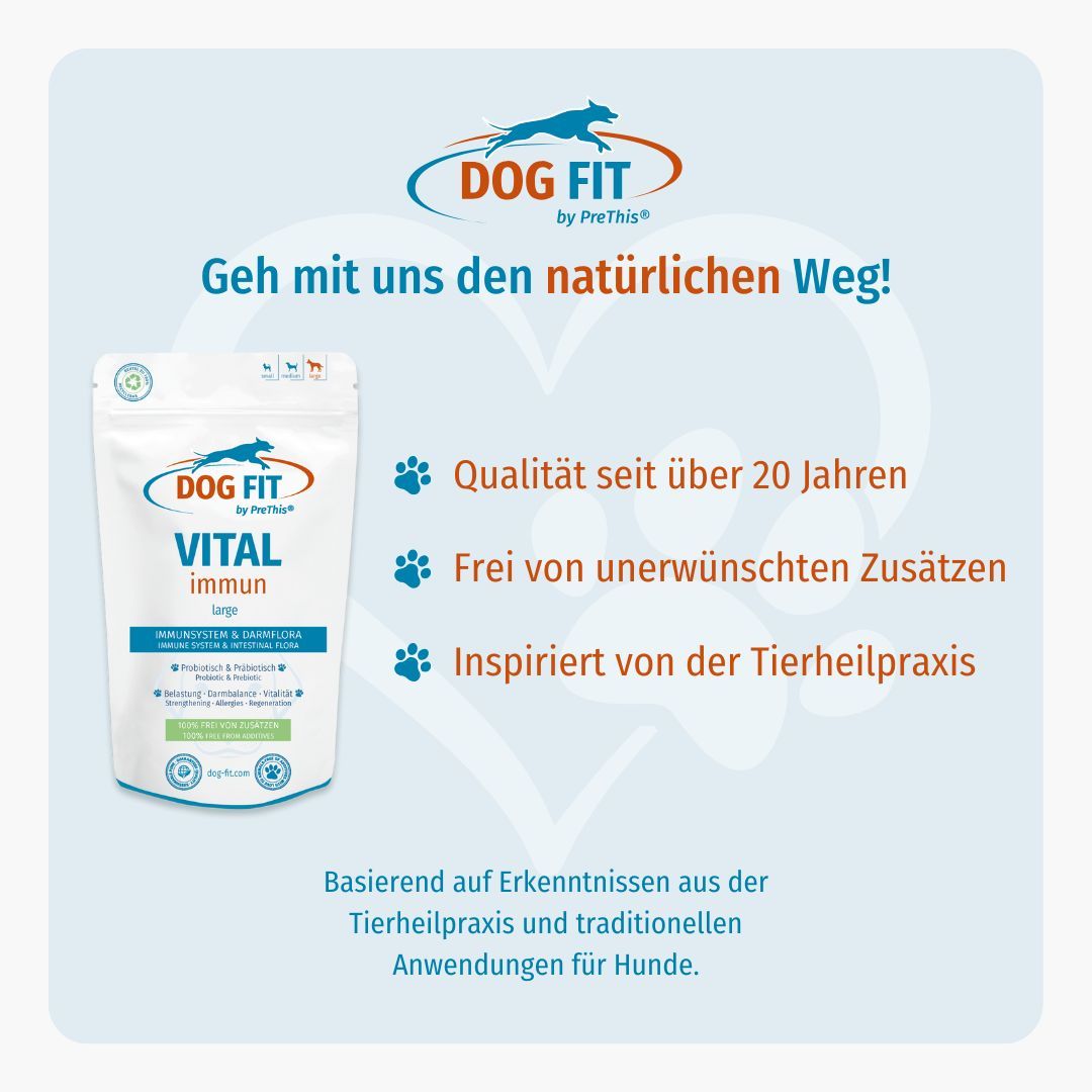 Blauer Hintergrund mit "DOG FIT" Logo. Text: "VITAL immun". Produktverpackung. Text über Qualität, Zusätze und Tierheilpraxis.
