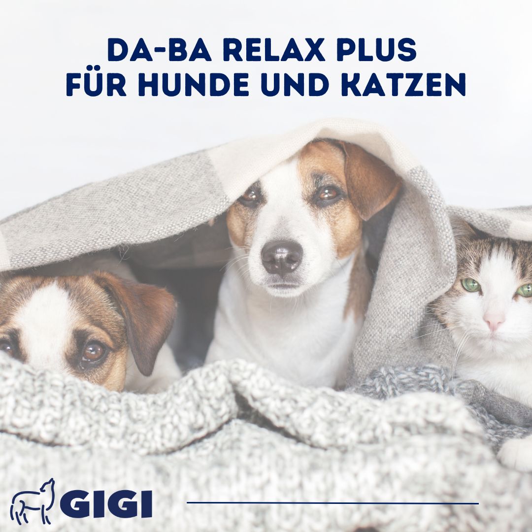GIGI VET da-ba RELAX Plus Für Hunde und Katzen