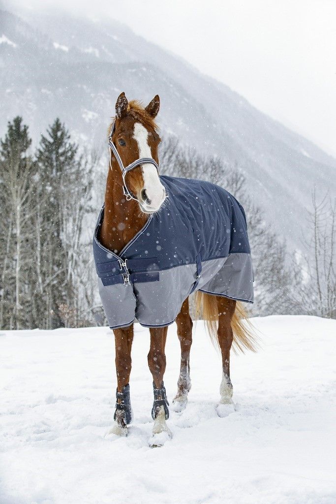 Equitheme Tyrex Outdoordecke