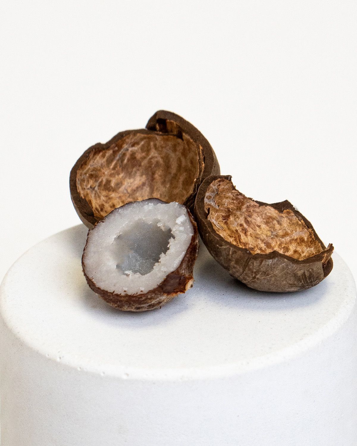 Drei Mini-Kokosnüsse, eine halbiert. Innen weißes Fruchtfleisch sichtbar. Auf weißem Podest.