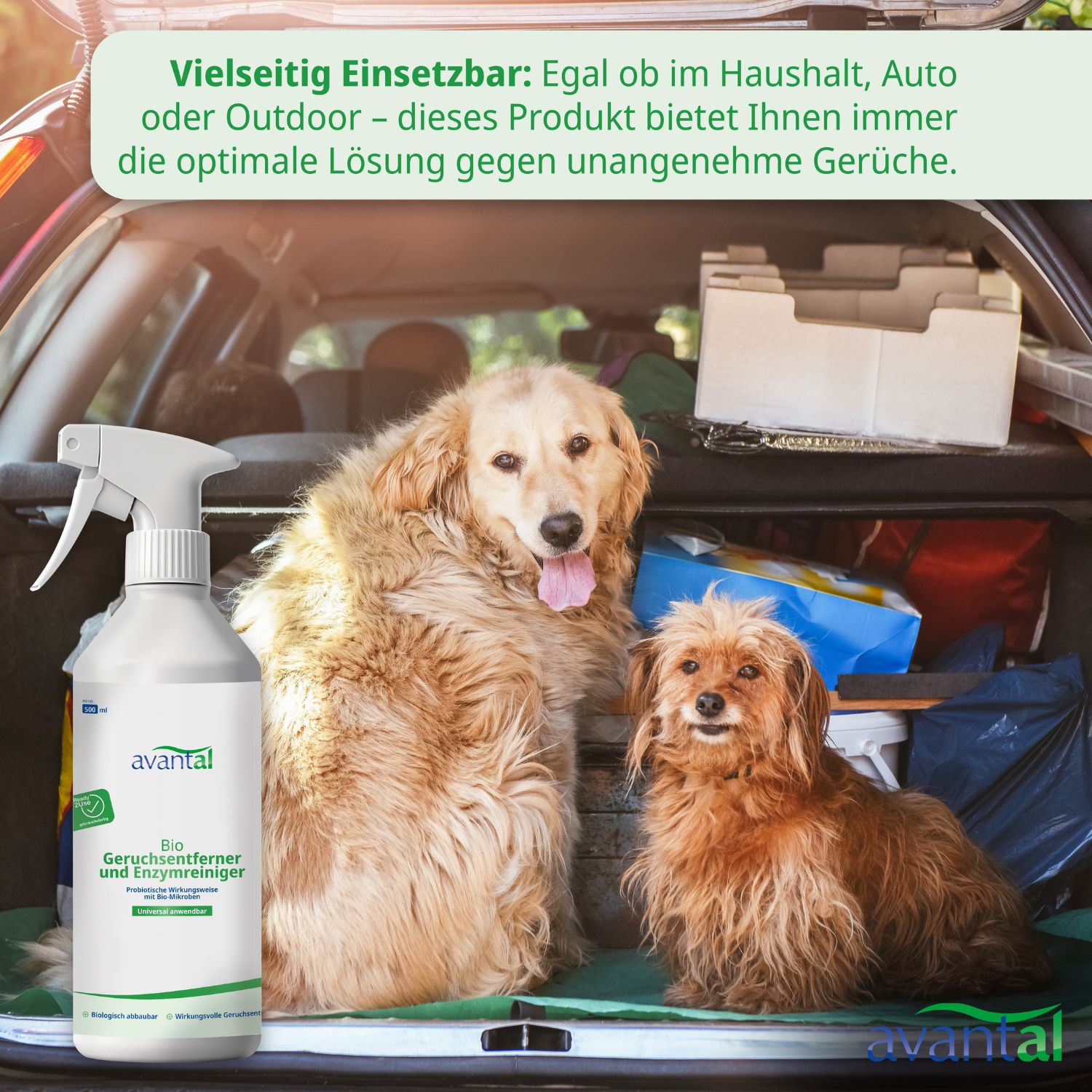 avantal® Geruchsneutralisierer & Enzymreiniger Sprühflasche