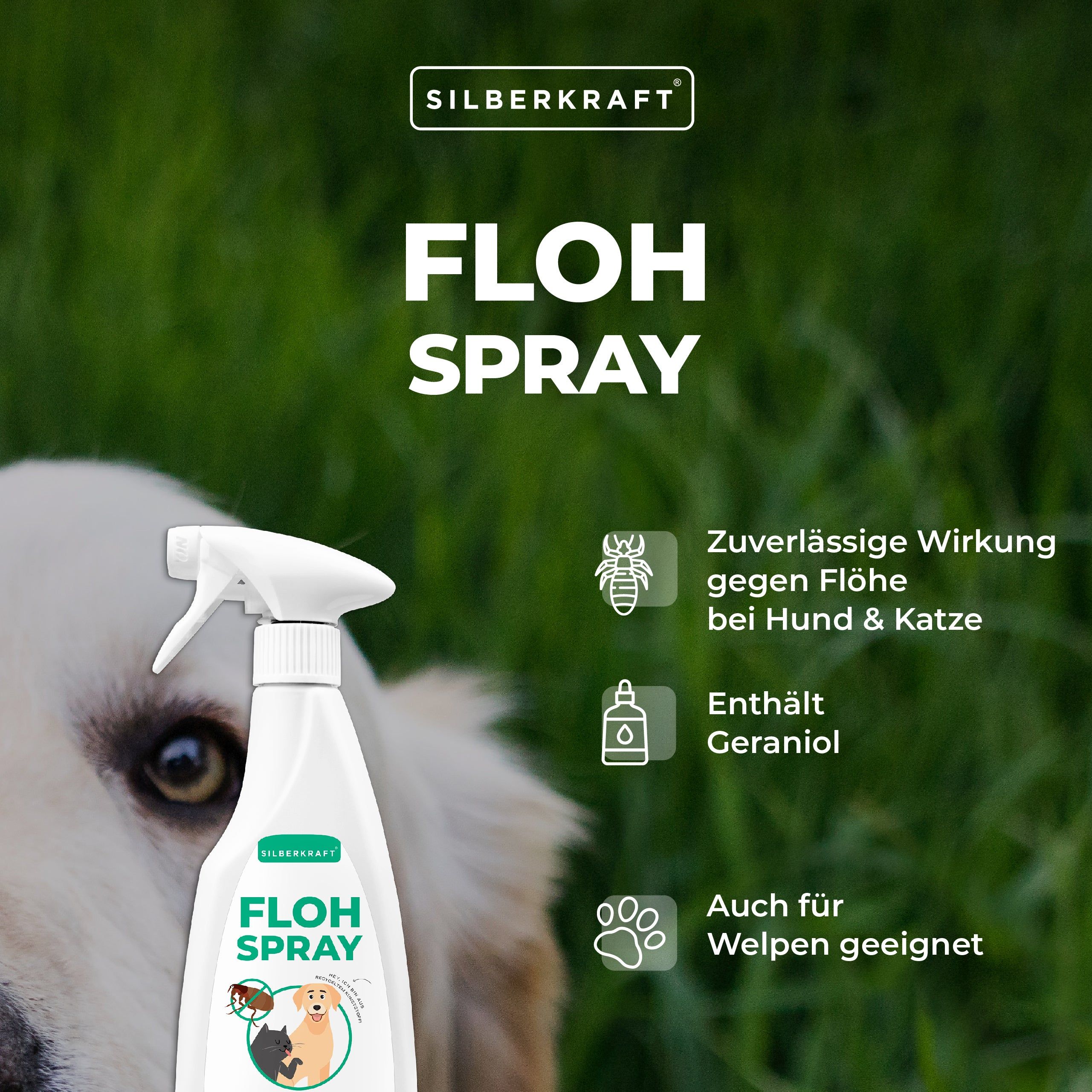 Silberkraft Flohspray Hunde und Katzen 4x500 ml Spray