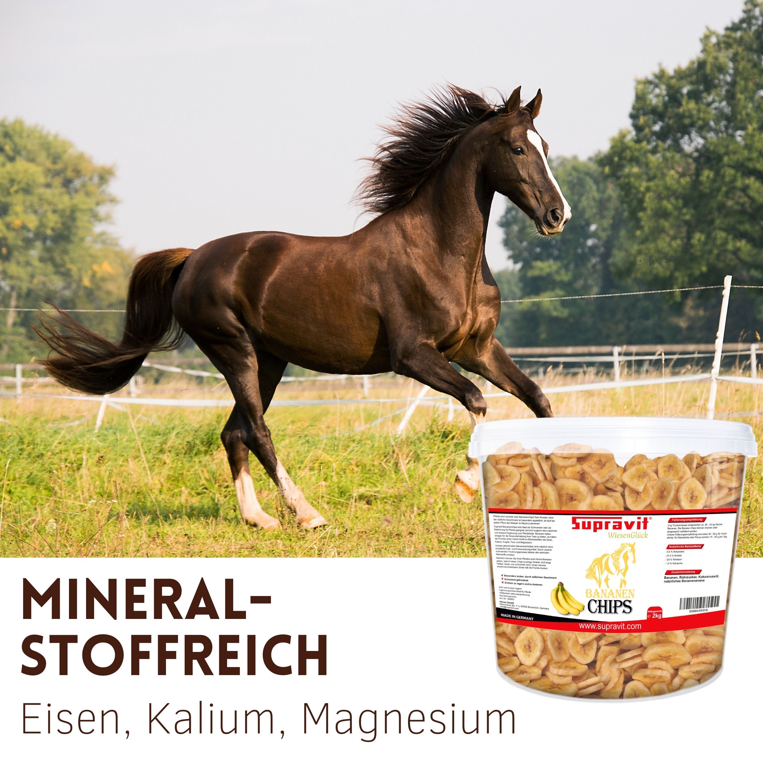Supravit Bananenchips für Pferde –  Pferdeleckerli – aus 100% echten Bananen