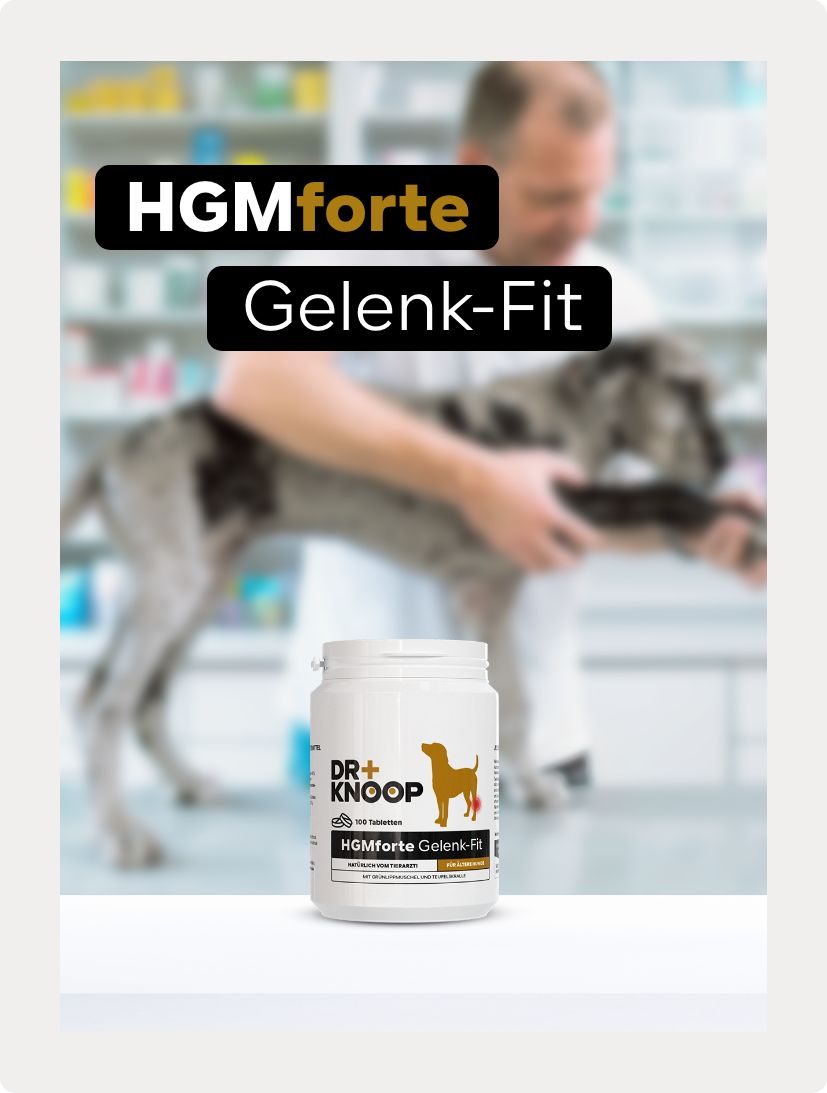Gelenktabletten Senior HGMforte speziell für alten Hund von Tierarzt Dr. Knoop