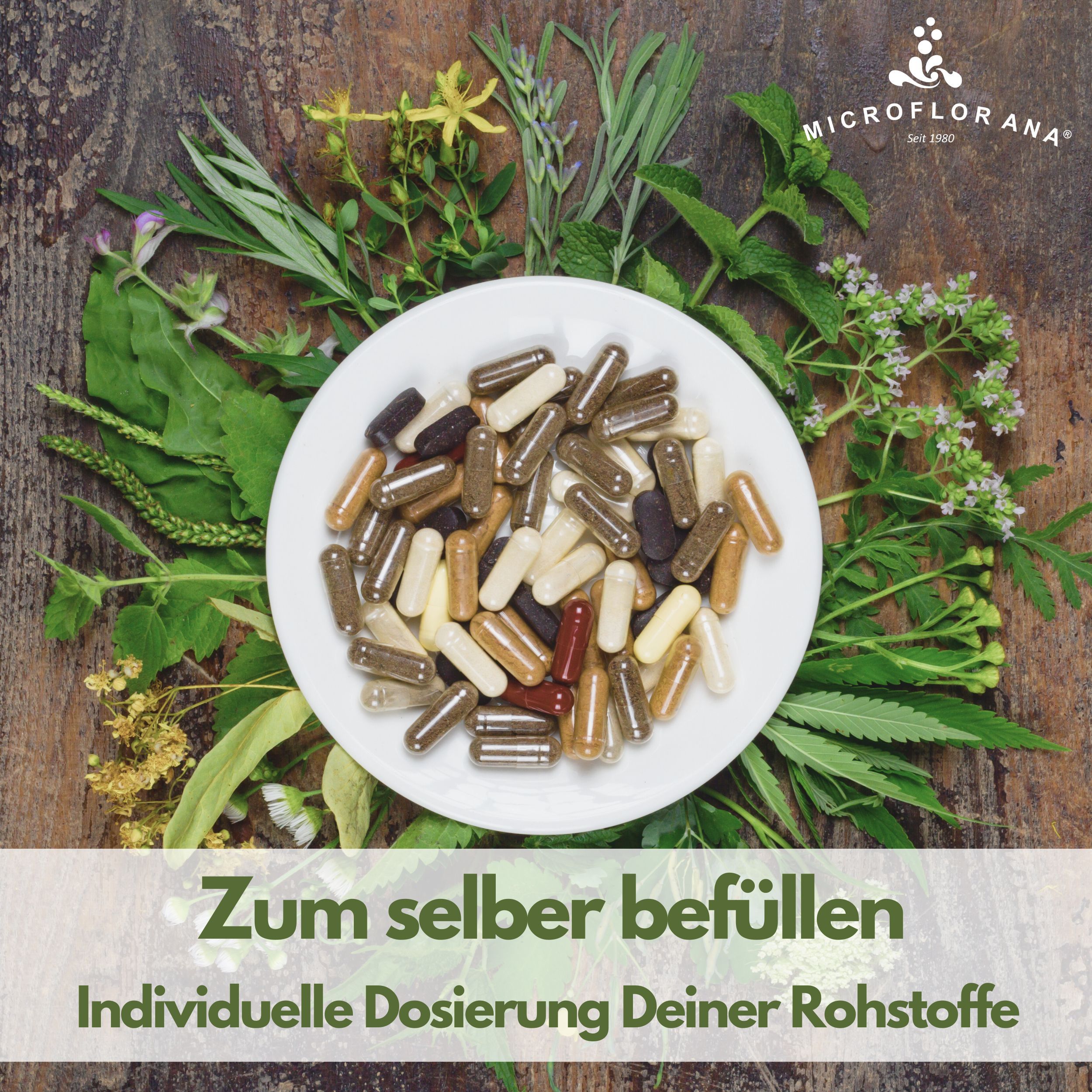 Weiße Schale mit Kapseln, umgeben von Kräutern. Text: Zum selber befüllen. Individuelle Dosierung Deiner Rohstoffe.