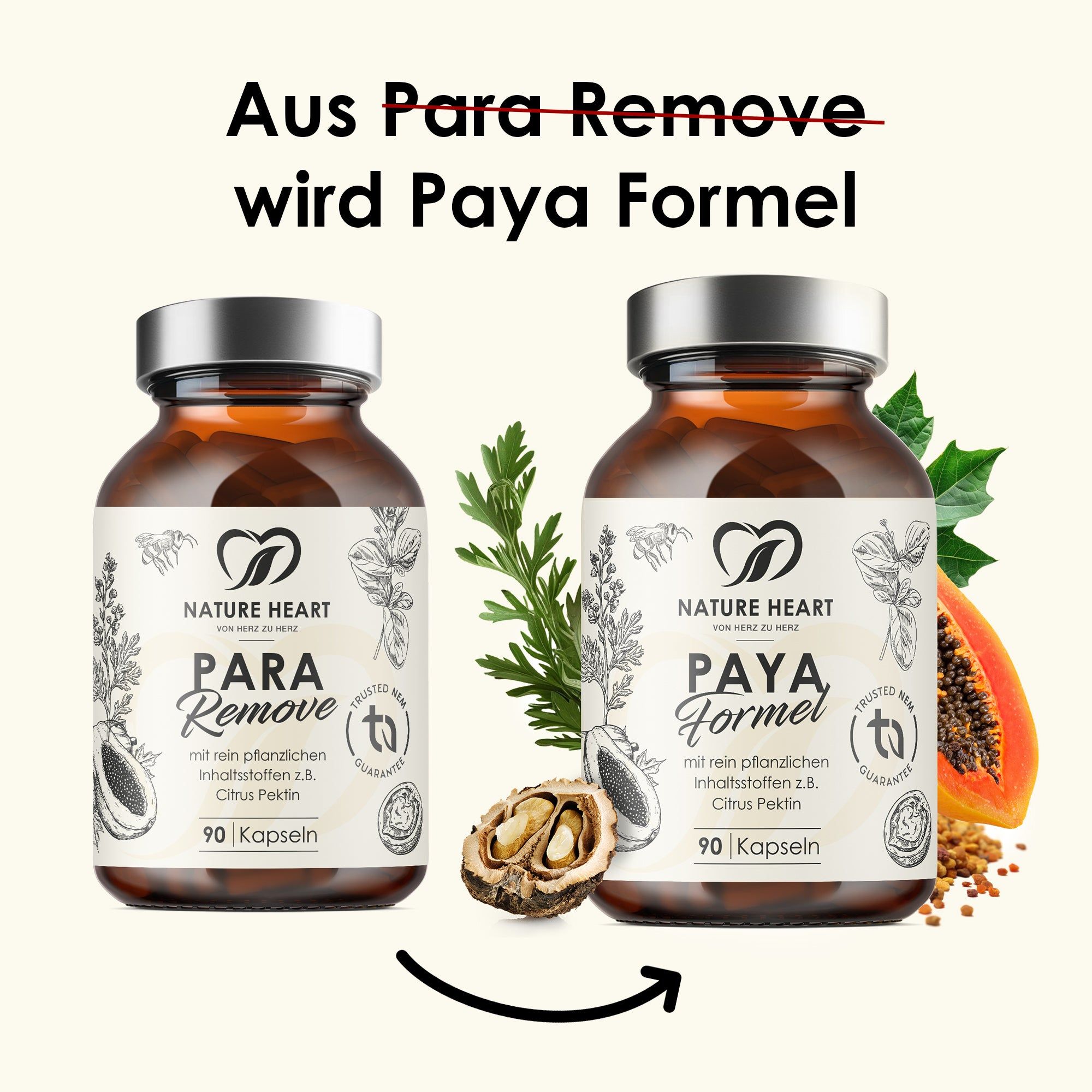 Zwei Flaschen, eine mit Paya Formel, eine mit Para Remove. Pfeil zeigt Umwandlung an. 90 Kapseln.