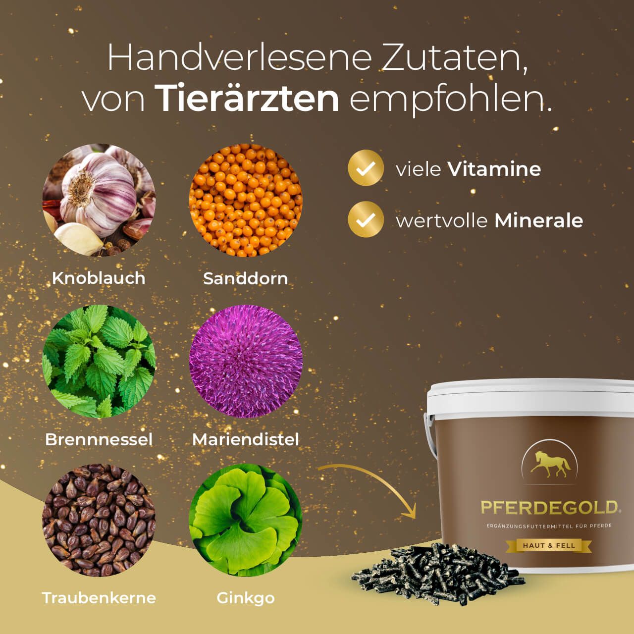 Zutatenübersicht: Knoblauch, Sanddorn, Brennnessel, Mariendistel, Traubenkerne, Ginkgo. Pferdegold Eimer und Pellets.