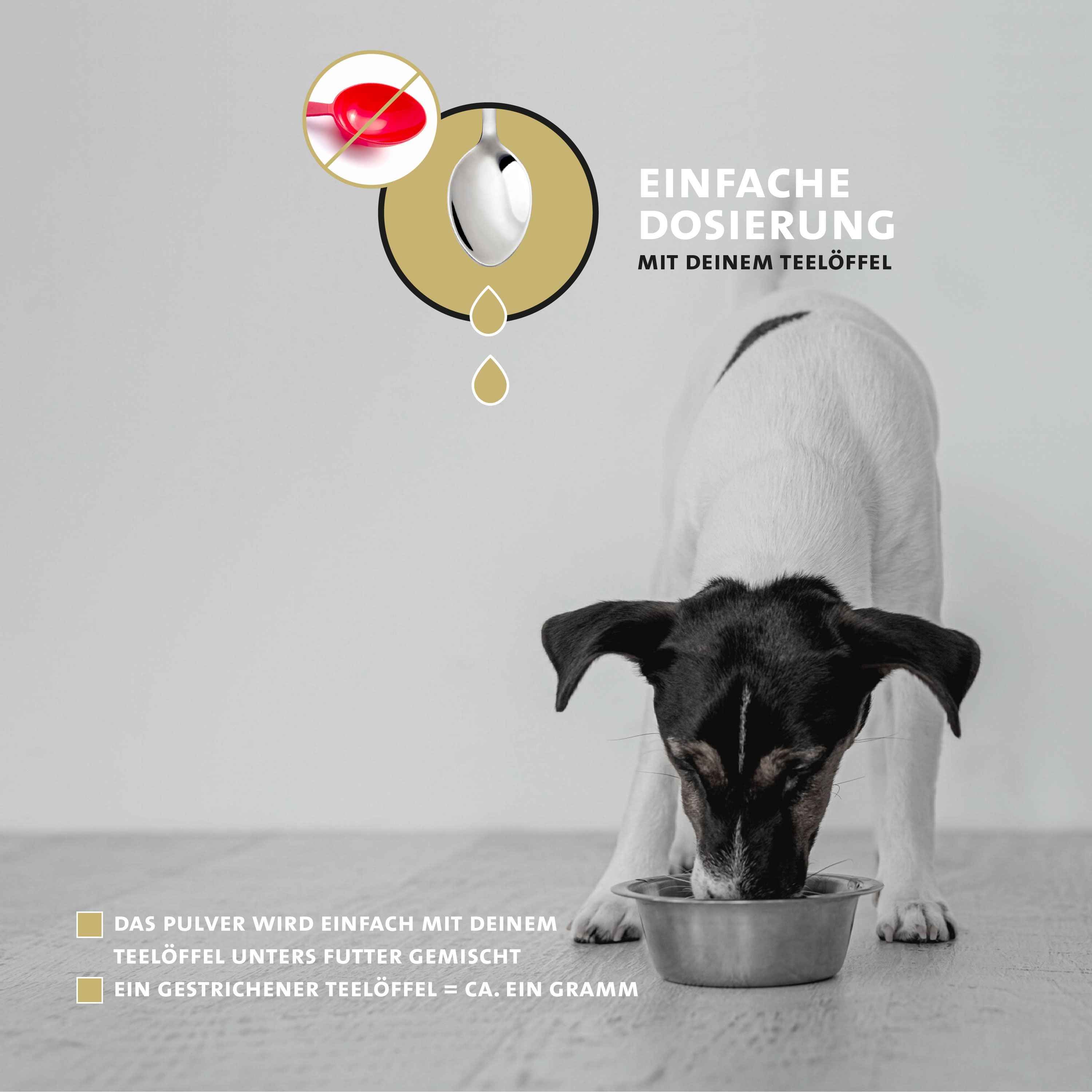 Hund frisst aus Napf. Löffel zeigt Dosierung. Text: Einfache Dosierung mit deinem Teelöffel. Pulver wird mit Futter gemischt.