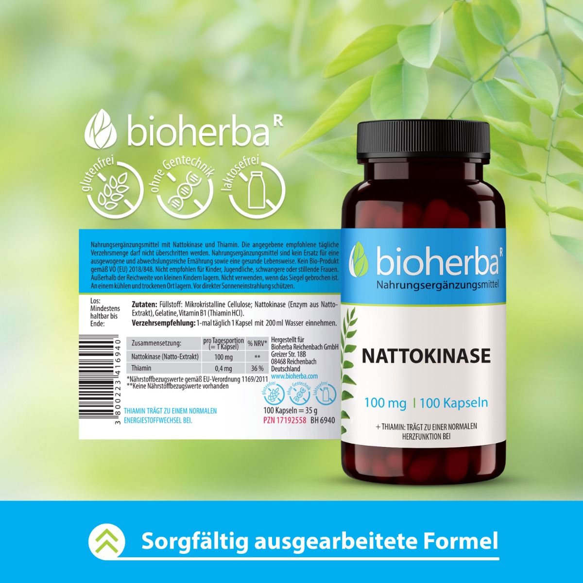 Braune Flasche mit schwarzem Deckel. Aufkleber mit Produktname und Logo. Text: Nattokinase, 100 mg | 100 Kapseln. Zutatenliste.