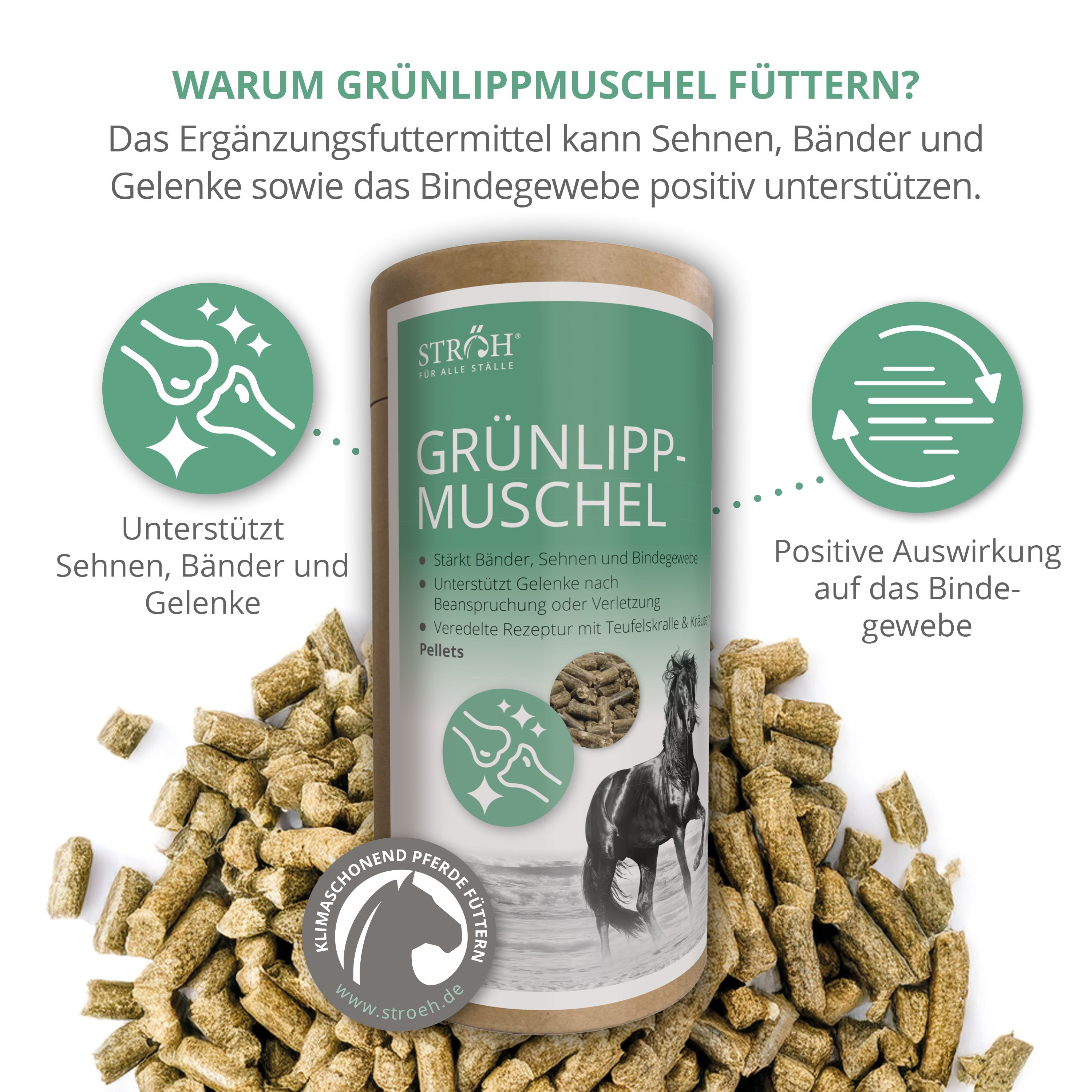 Zylinderdose "GRÜNLIPPMUSCHEL" mit Pellets. Text: "Unterstützt Sehnen, Bänder und Gelenke". Logo "STRÖH".