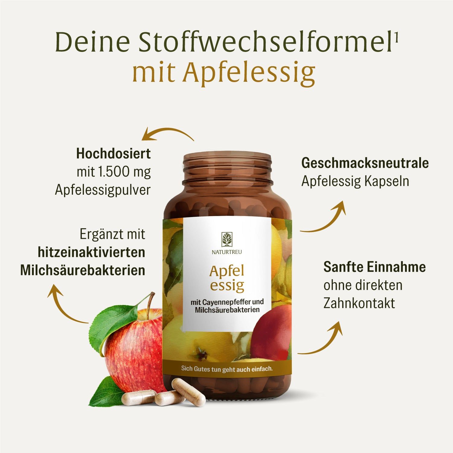 Naturtreu Apfelessig Kapseln: Hochdosiert, geschmacksneutral, sanfte Einnahme. Mit Milchsäurebakterien.