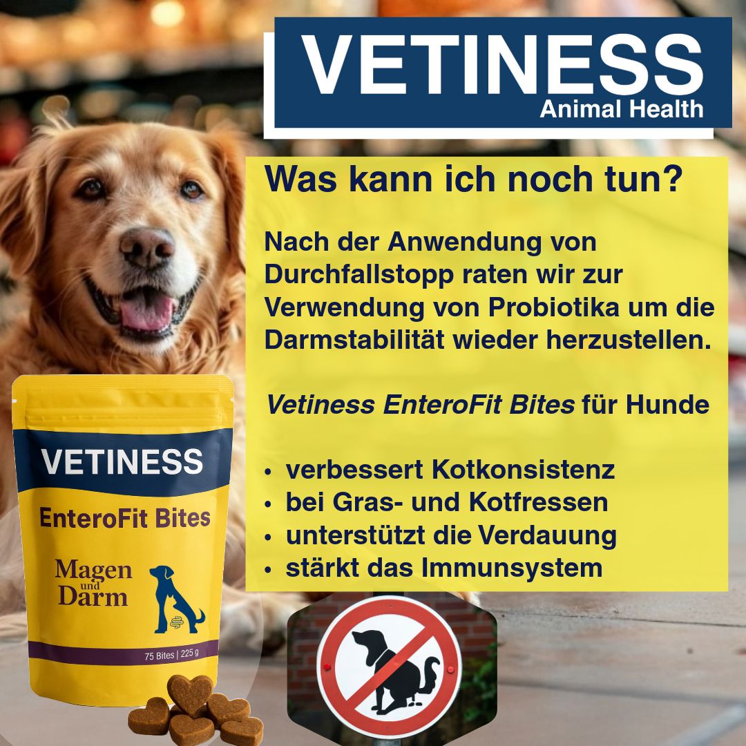 Produktverpackung mit Text: Vetiness, EnteroFit Bites, Hund. Text: Was kann ich noch tun? Gelbe Textfelder. Hundefutter.