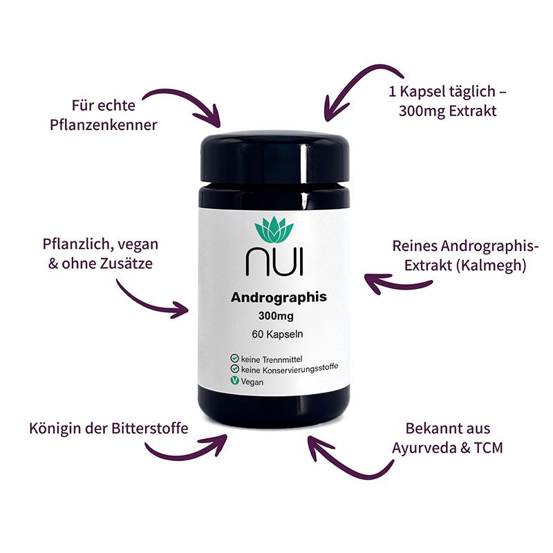 Schwarze Flasche mit weißem Etikett. Aufschrift: NUI Andrographis, 300mg, 60 Kapseln. Vegan. Pfeile zeigen auf Produktmerkmale.