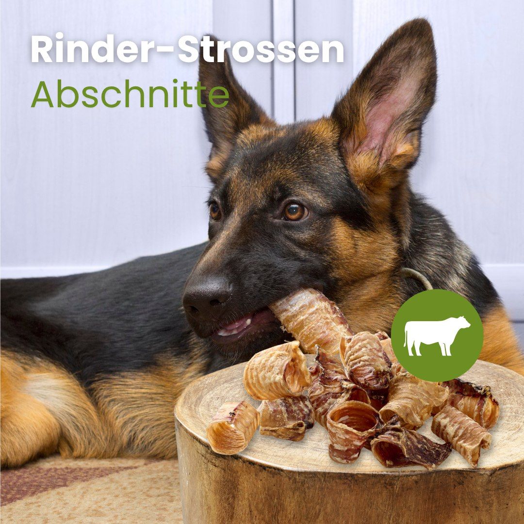 Ein Deutscher Schäferhund kaut auf Rinder-Strossen Abschnitten.