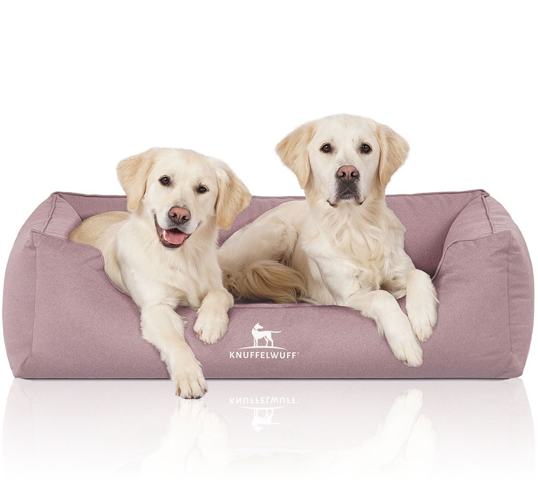 Zwei blonde Hunde auf einem rosa Hundebett. 'Knuffelwuff' Logo sichtbar. Hunde schauen in die Kamera.