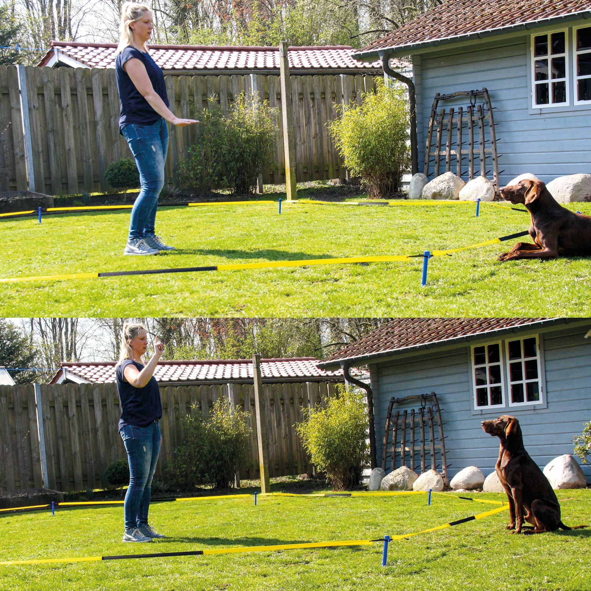 Longier Set für Hunde mit einem Radius von 3 -3,5 m