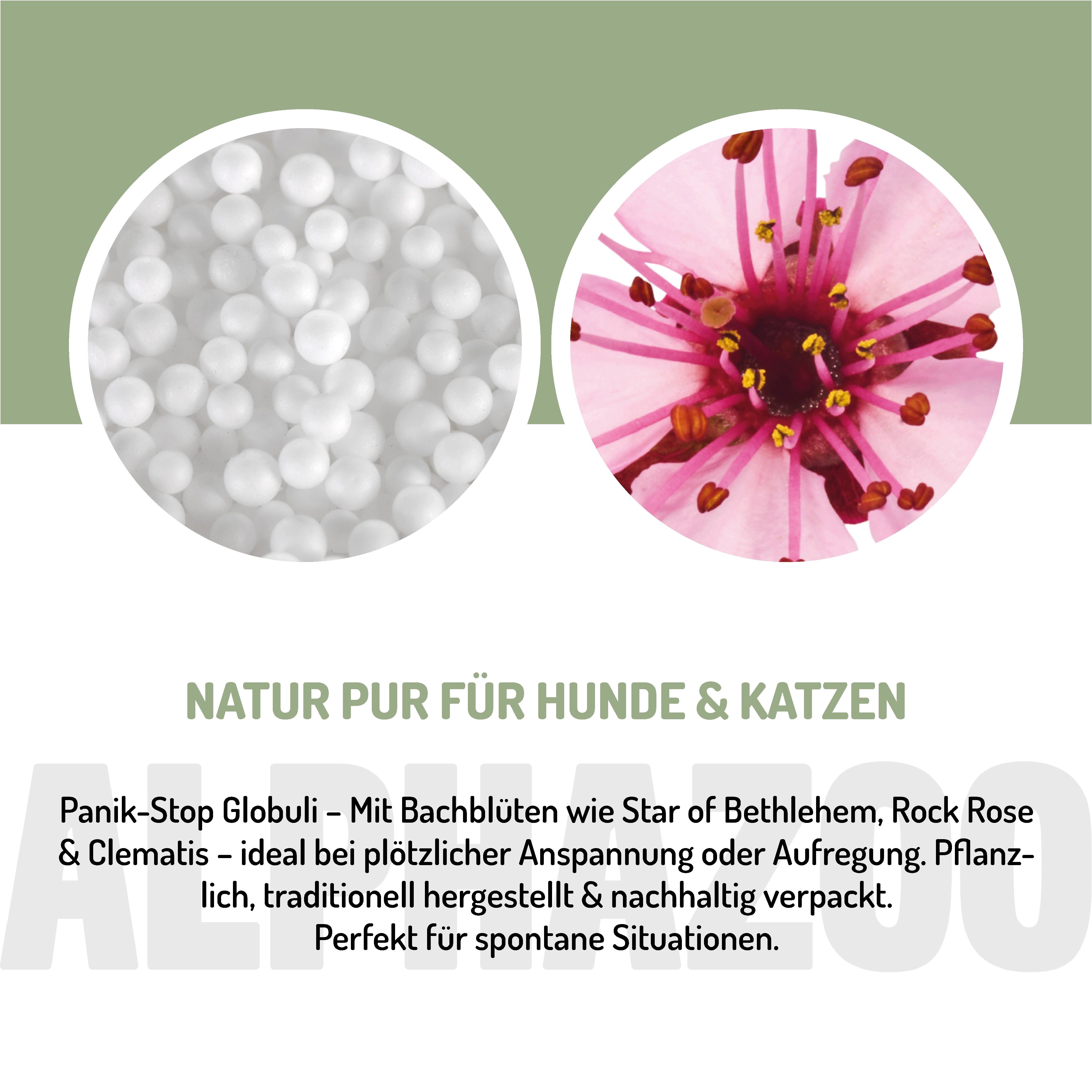 Globuli und Blüte. Text: Natur pur für Hunde & Katzen. Panik-Stop Globuli – Mit Bachblüten wie Star of Bethlehem, Rock Rose & Clematis.