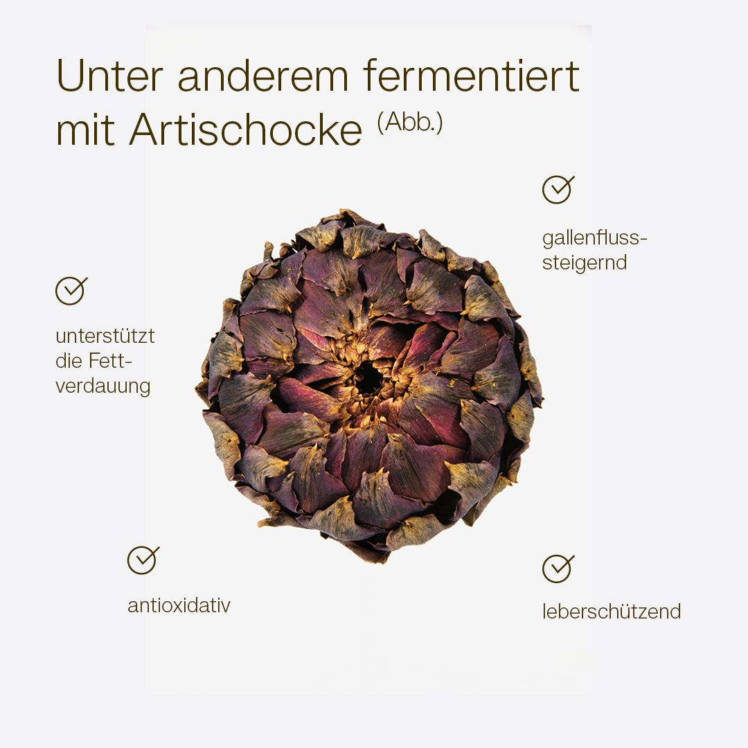 MikroVeda Kur BITTER