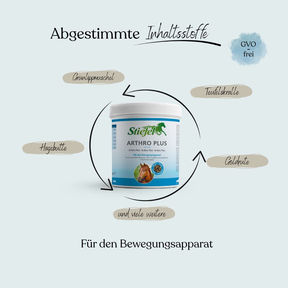 Weißes Produktglas mit blauem Deckel. Beschriftung: Stiefel Arthro Plus. Abbildung eines Pferdekopfes. Text: Für den Bewegungsapparat.