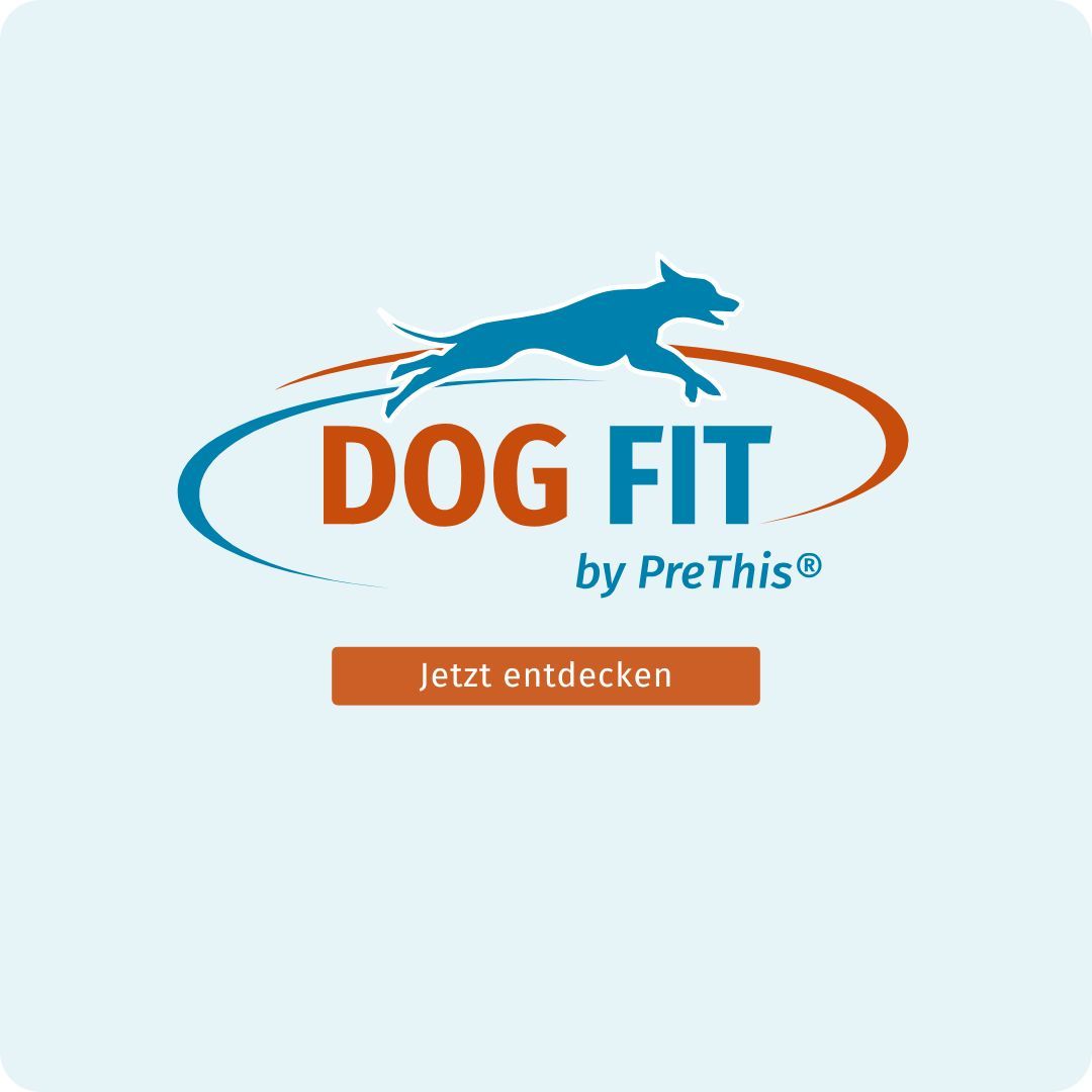 Logo DOG FIT by PreThis®. Text: Jetzt entdecken. Blaues Logo mit springendem Hund und orangefarbener Schrift.