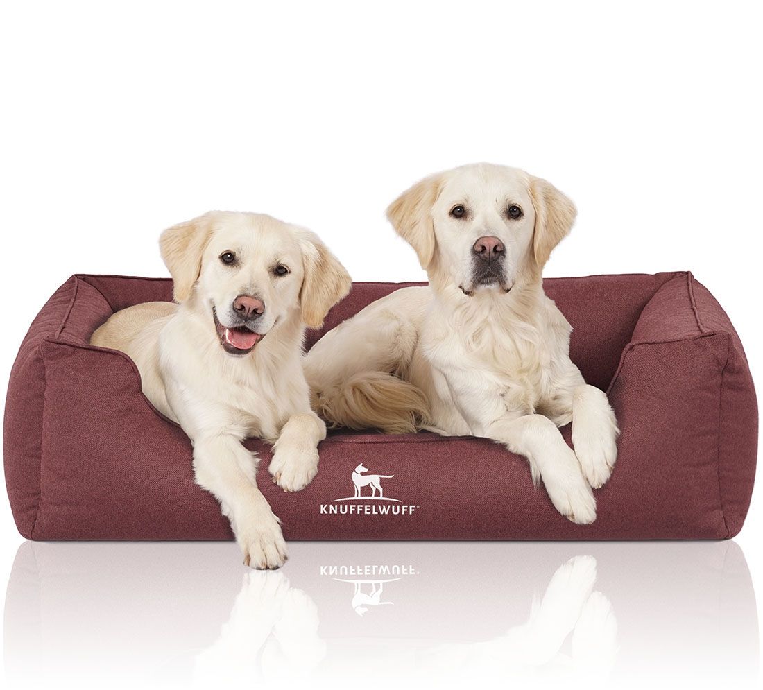 Zwei Hunde auf einem burgunderfarbenen orthopädischen Hundebett Leon. Knuffelwuff-Logo. Hunde liegen entspannt.