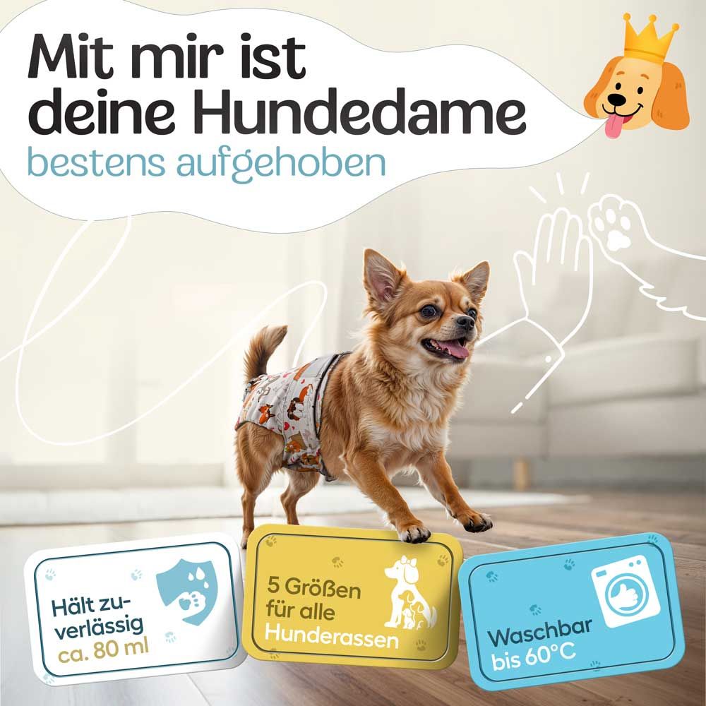 Hündchen mit Windel. Text: Hält zuverlässig ca. 80 ml, 5 Größen für alle Hunderassen, Waschbar bis 60°C.