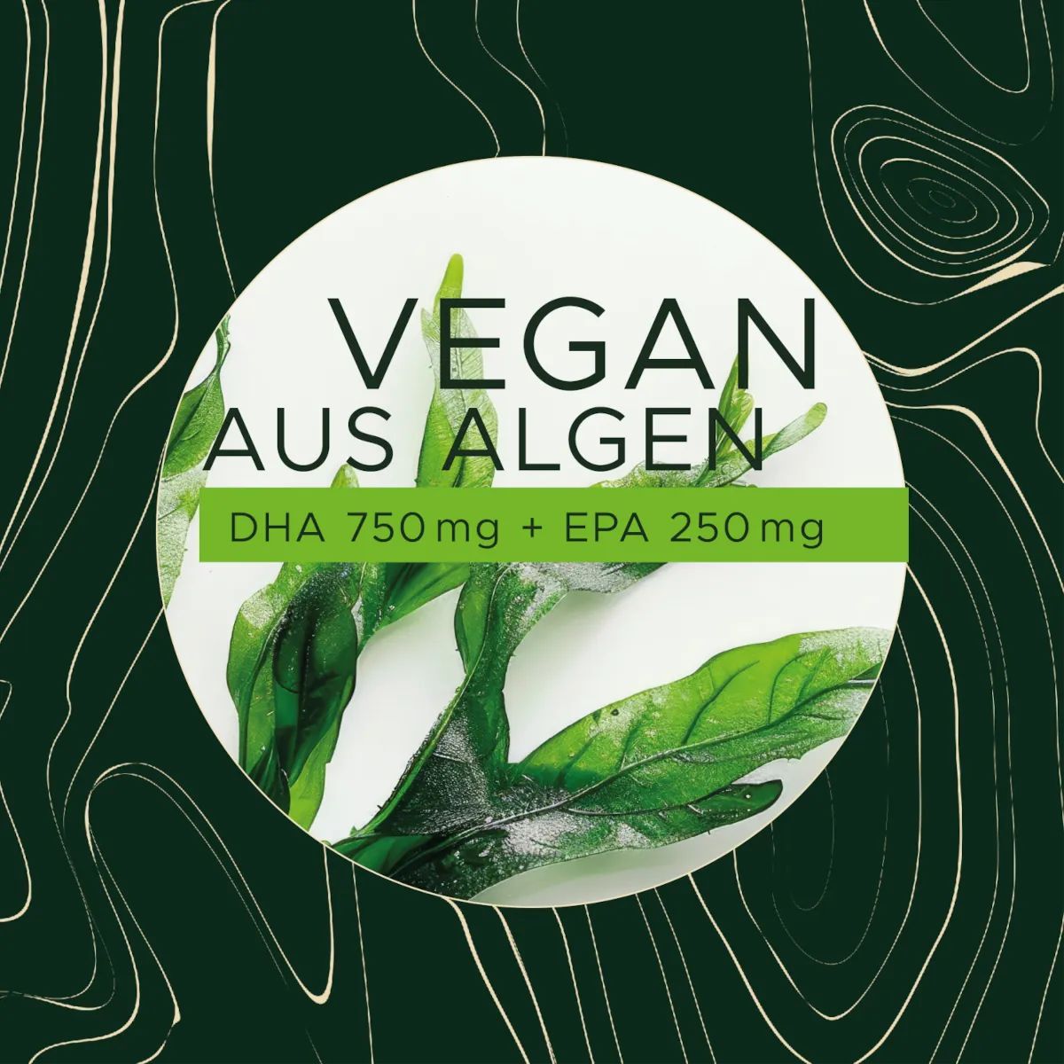 Heilnatura Omega 3 Algenöl DHA 750mg + EPA 250mg