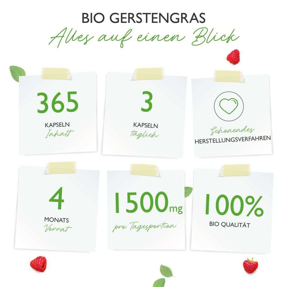 vit4ever Bio Gerstengras 365 St Kapseln