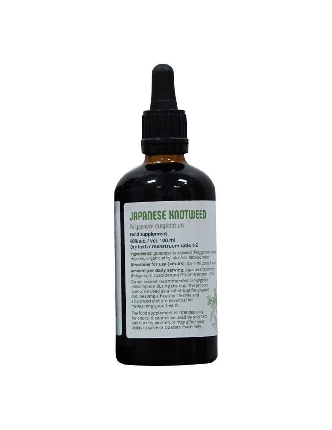 Lymeherbs Japanischer Staudenknöterich 1:2