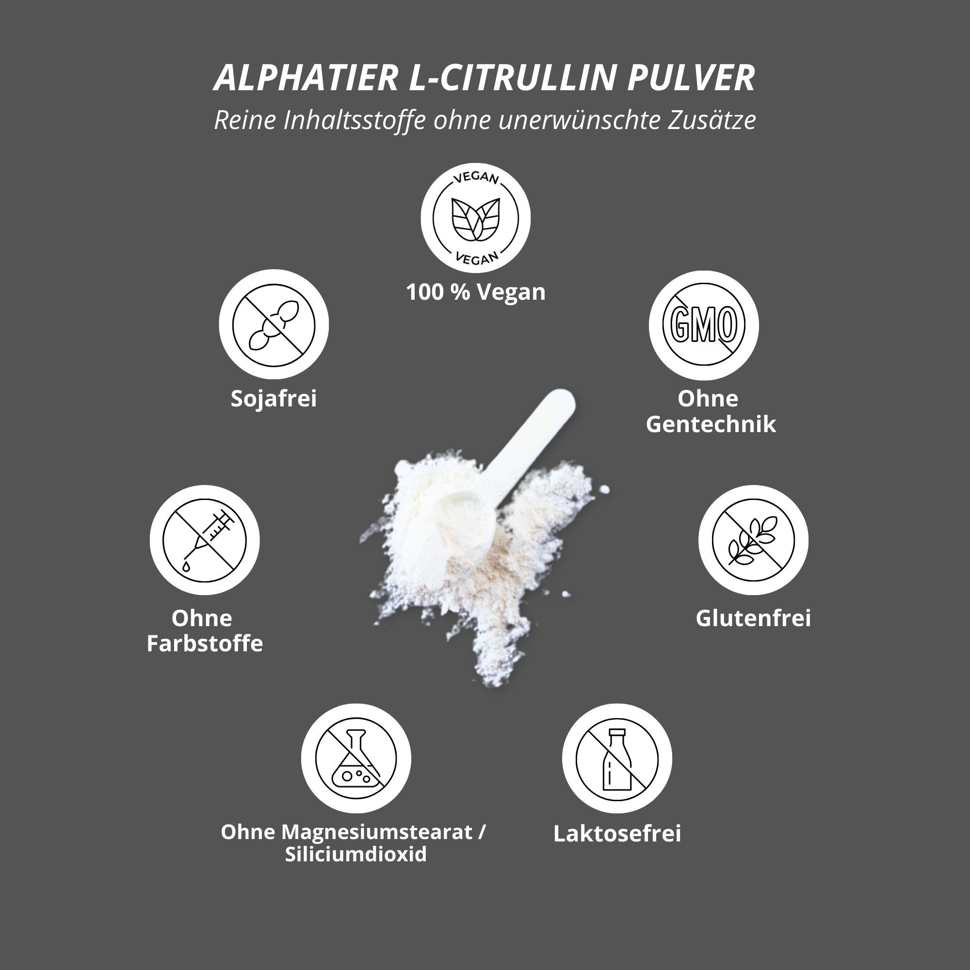 Kreisförmige Symbole um Pulver mit Löffel. Vegan, sojafrei, ohne Gentechnik, glutenfrei, ohne Farbstoffe, laktosefrei.