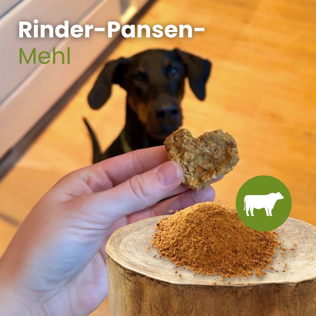 Rinder-Pansen-Mehl als Hundefutterzusatz, hoher Proteingehalt, 100% Rind, schonend getrocknet.
