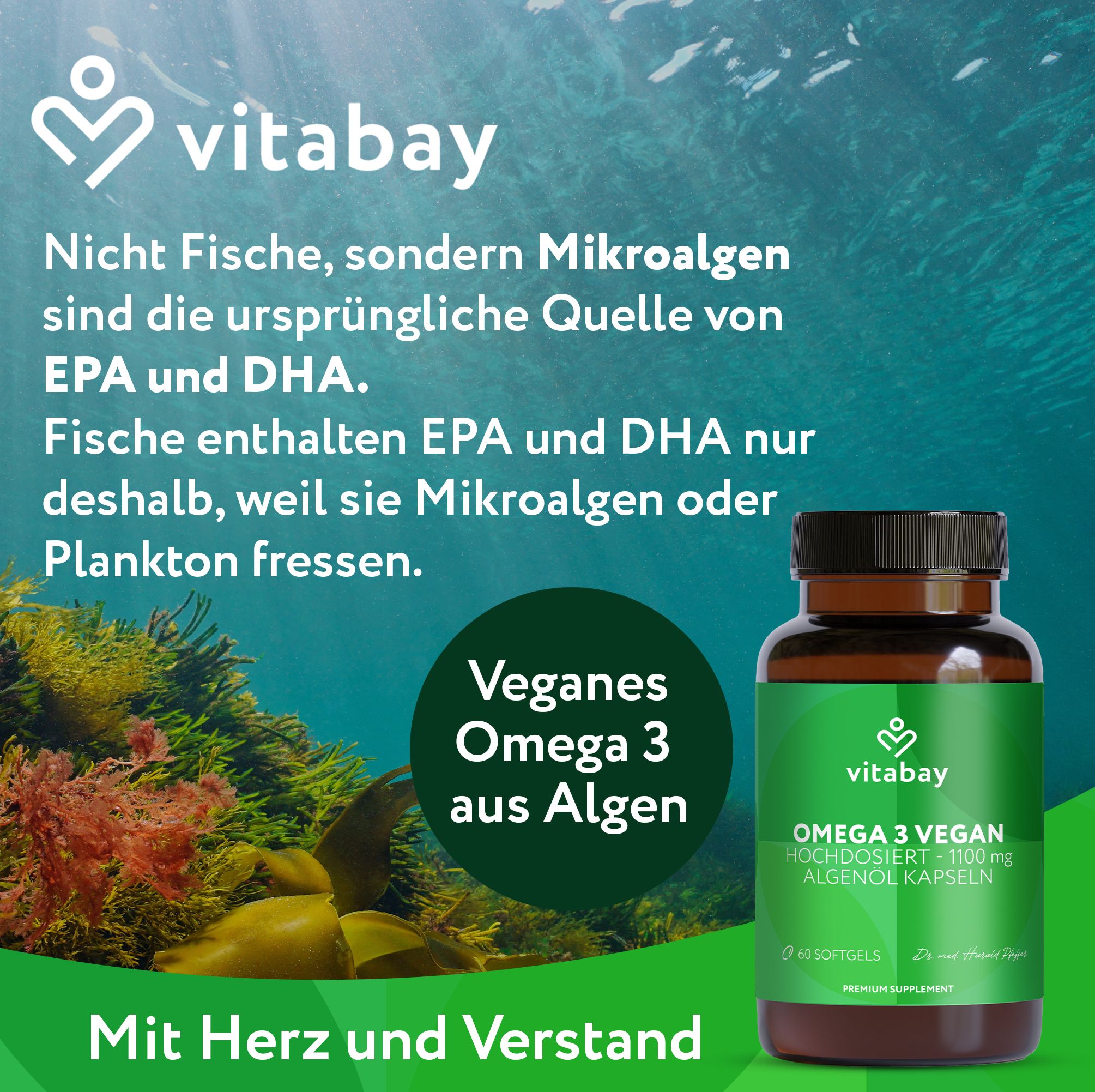 Braune Flasche mit grünem Etikett. Text: Veganes Omega 3 aus Algen. Marke Vitabay.