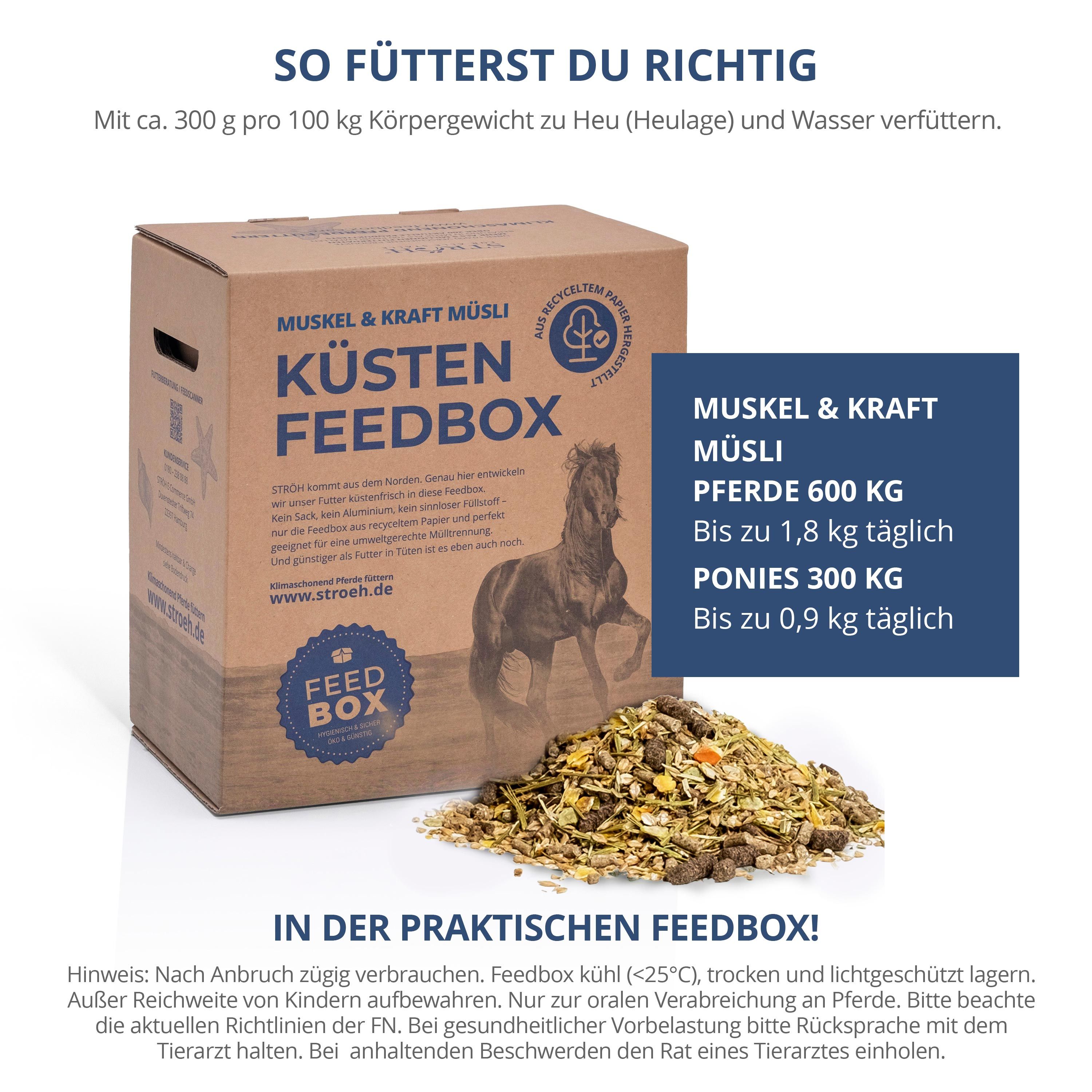 Karton "Küsten Feedbox" mit Müsli. Text: Muskel & Kraft Müsli, Fütterungsempfehlung. Logo mit Pferd. Produkt auf Müsli-Mischung.