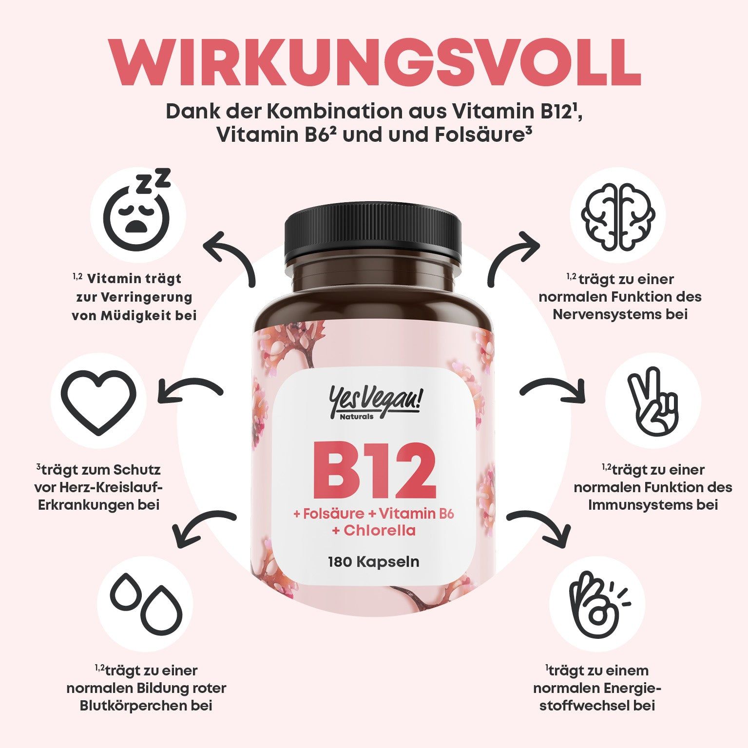 Vitamin B12 hochdosiert – B12 Komplex mit B6, Folsäure und Chlorella (180 Kapseln)