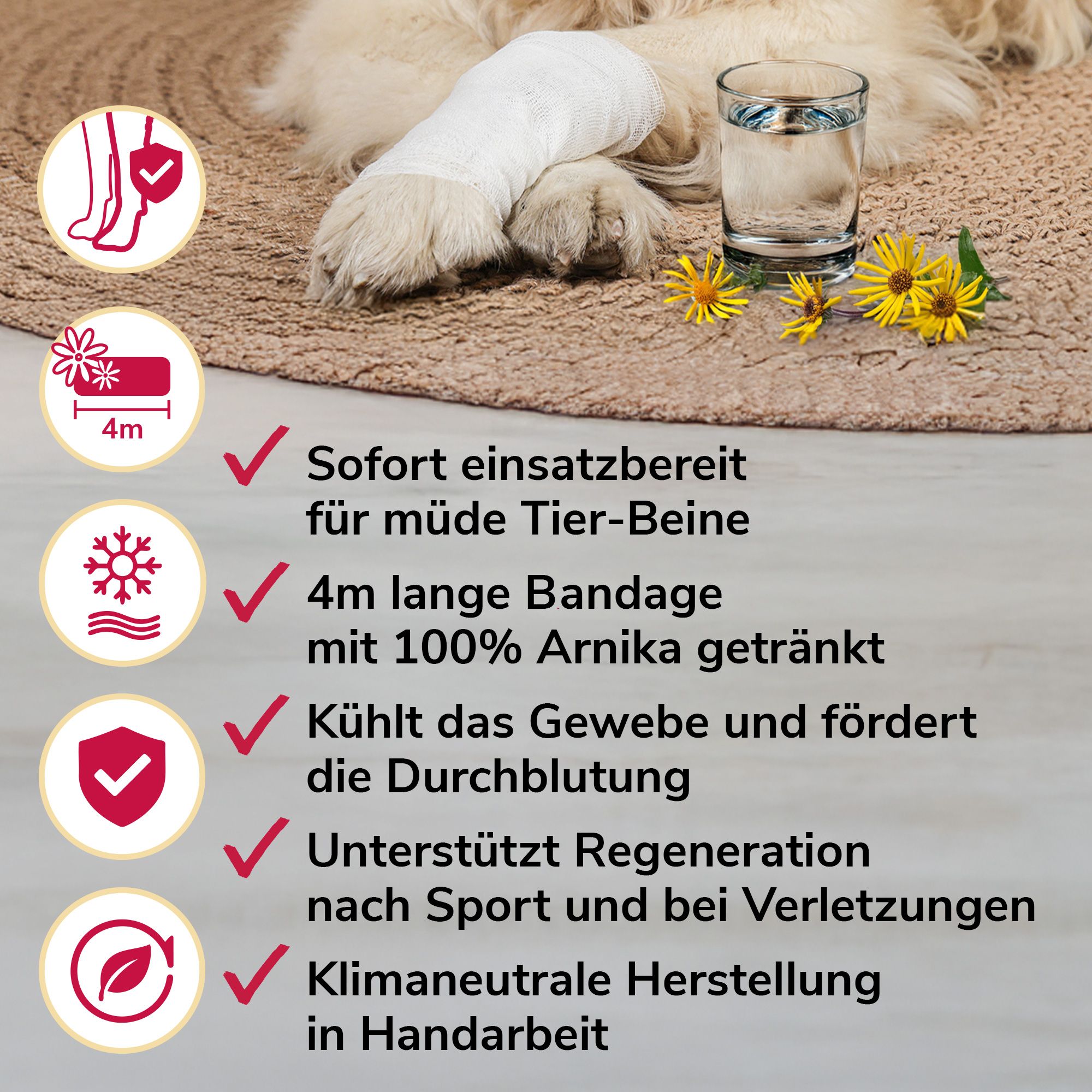 Arnikawunderwickel für Pferde, Hunde & Katzen