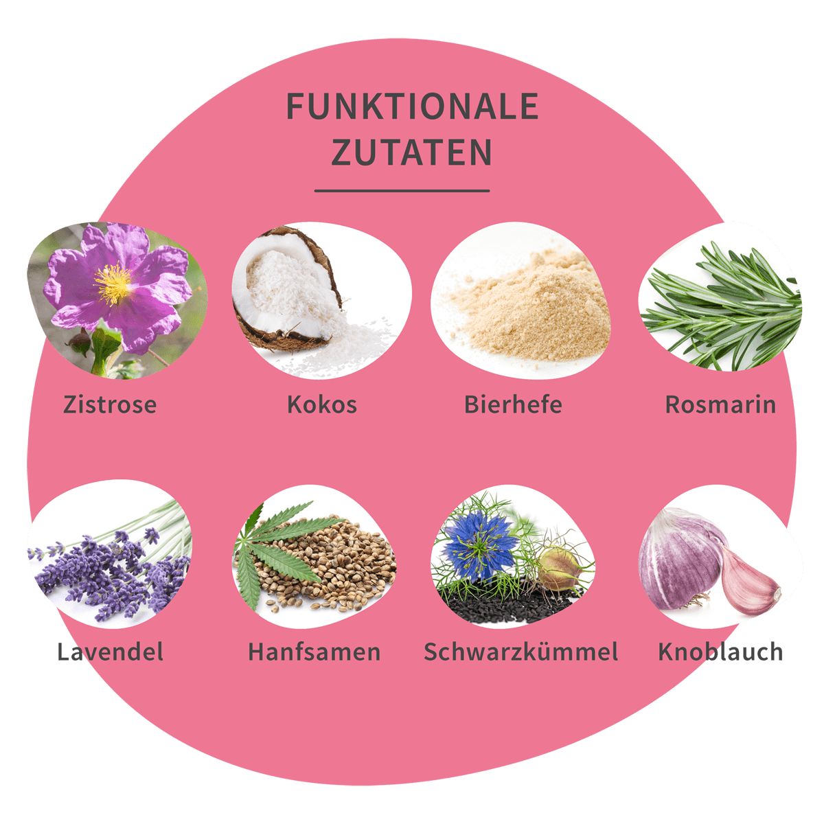 Kreis mit Zutaten: Zistrose, Kokos, Bierhefe, Rosmarin, Lavendel, Hanfsamen, Schwarzkümmel, Knoblauch.