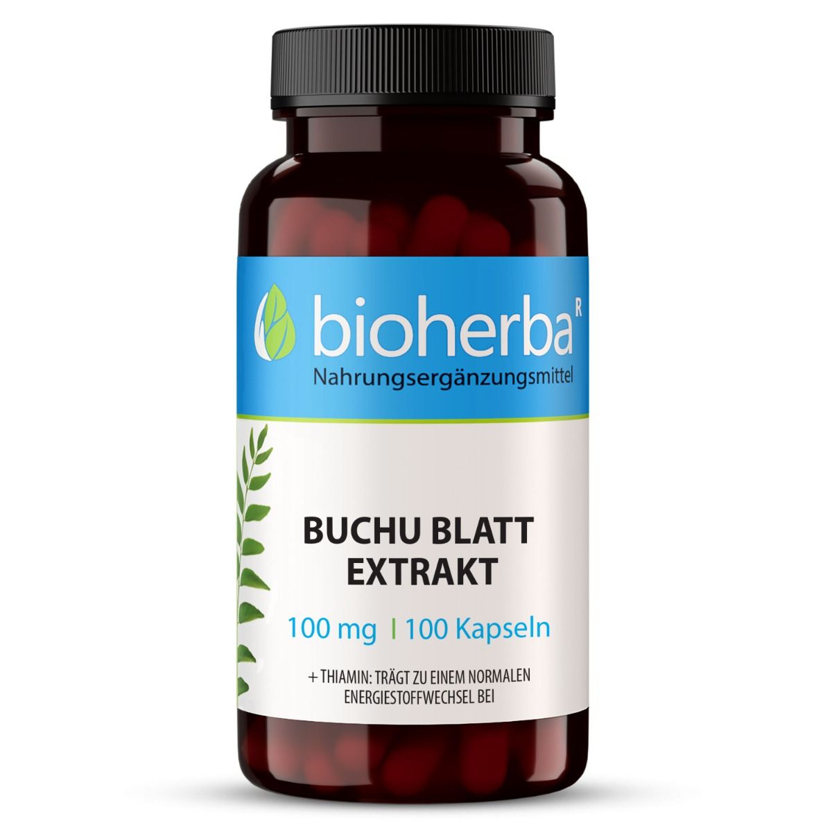 Braune Kapsel-Dose mit schwarzem Deckel. Aufschrift: Buchu Blatt Extrakt, 100 mg, 100 Kapseln. Marke: bioherba.