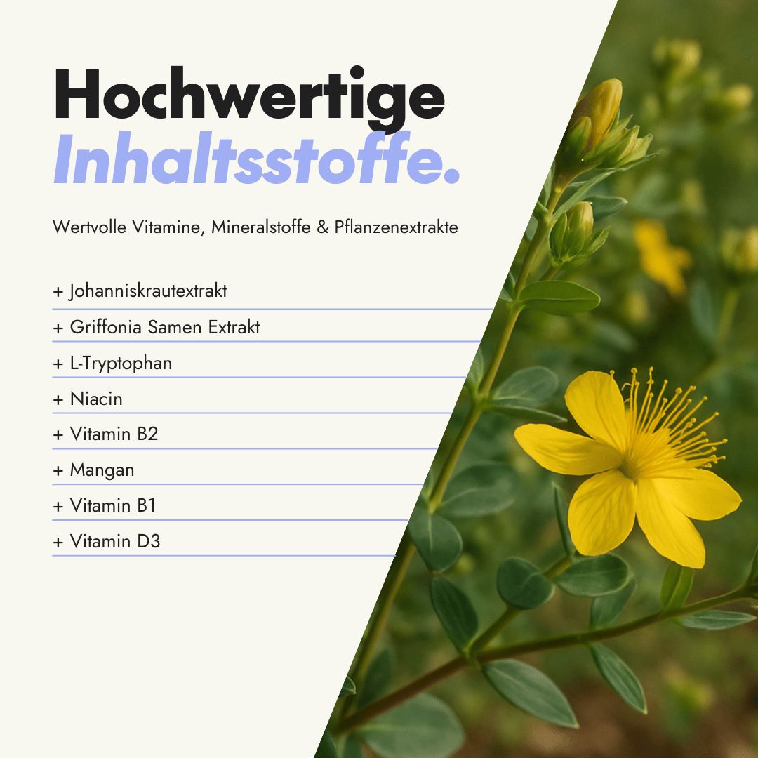 serotalin Active Balance Zen Mood | Johanniskraut, Griffonia & B-Vitaminen | Nerven & Psyche | Vegan