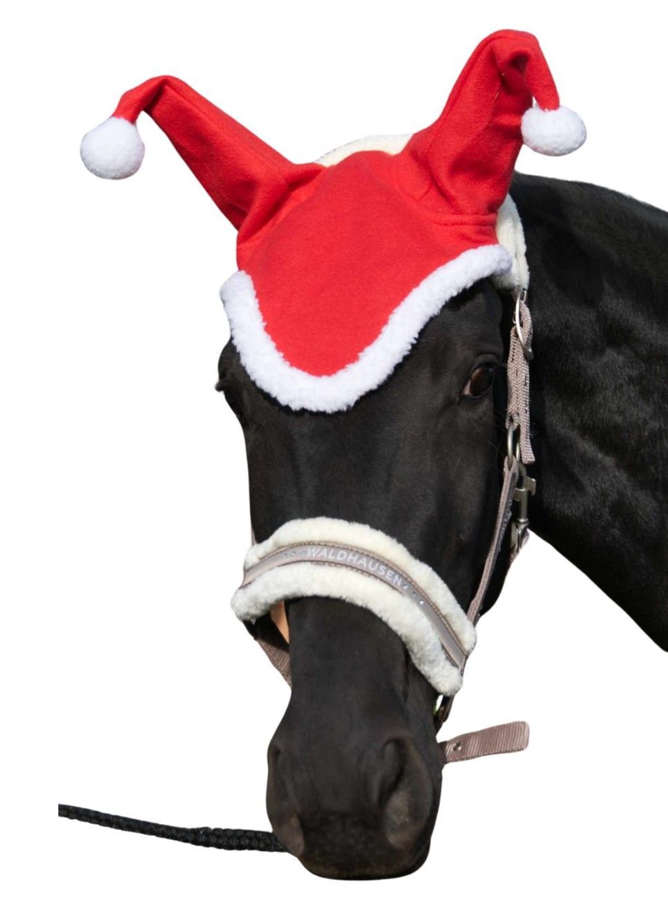 Eine rote und weiße Weihnachtsmütze mit Ohren für Pferde. Die Mütze hat zwei Zipfel mit weißen Bommeln und einen weißen Rand. Sie wird auf dem Kopf eines schwarzen Pferdes getragen, das einen Zaumzeug trägt.