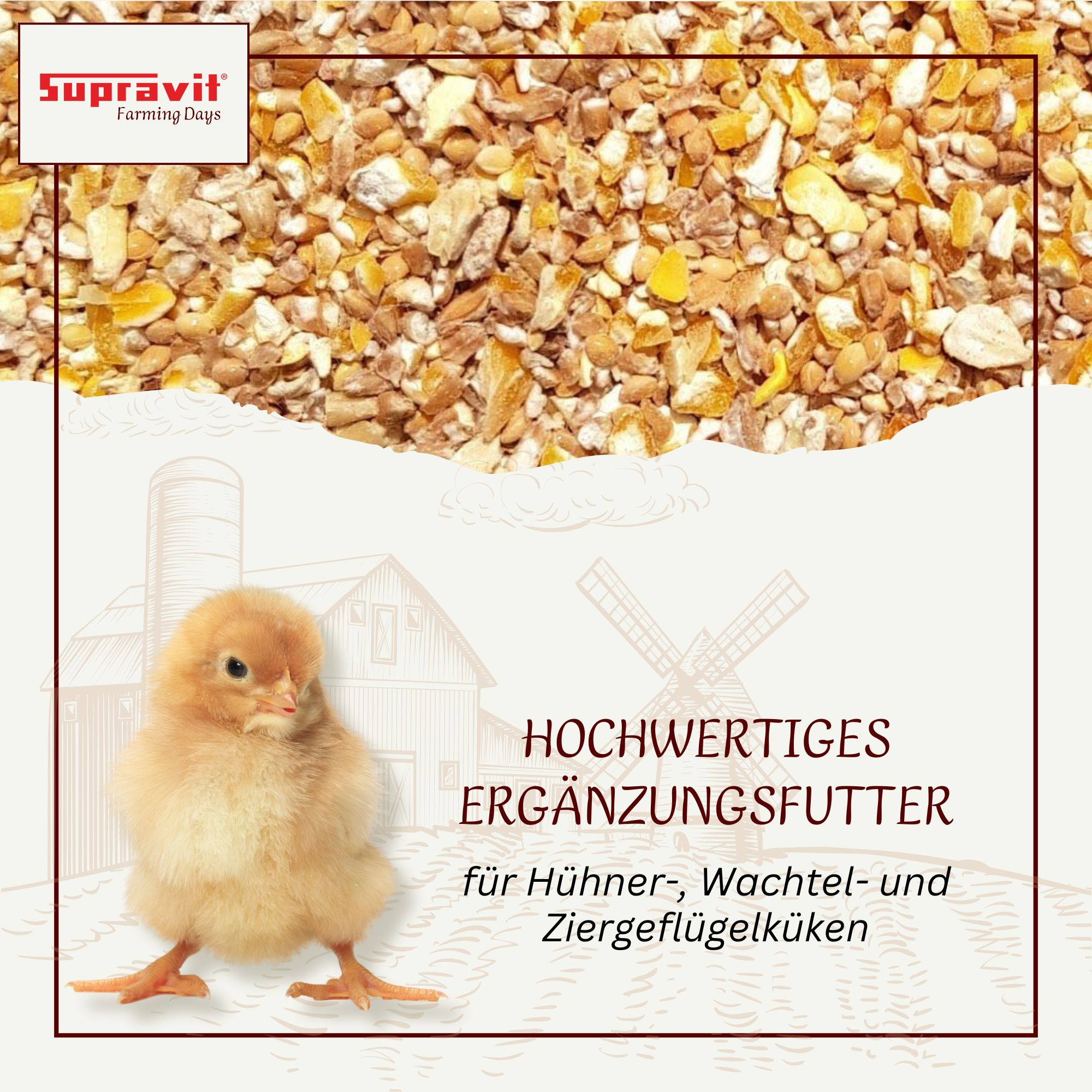 Gelbes Küken vor Getreidehintergrund. Text: Hochwertiges Ergänzungsfutter für Hühner-, Wachtel- und Ziergeflügelküken. Logo: Supravit.