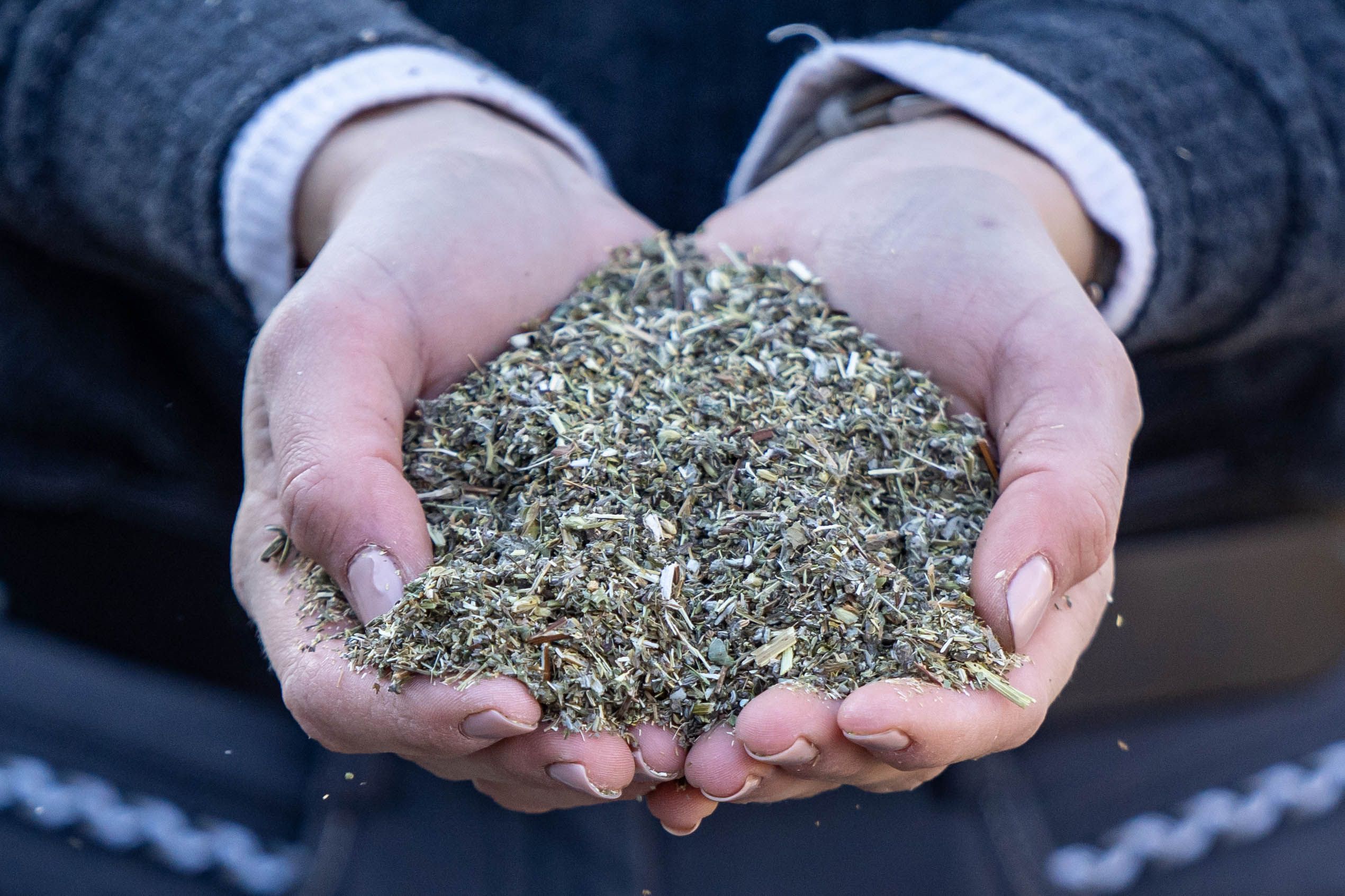 Hände halten eine Menge getrockneter Kräuter. Die Kräuter sind grün und braun. Keine Verpackung sichtbar.