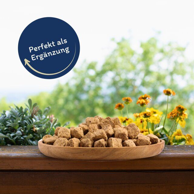 Gefriergetrocknete Würfel in einer Holzschale. Beschriftung: Perfekt als Ergänzung. Hintergrund: Garten.