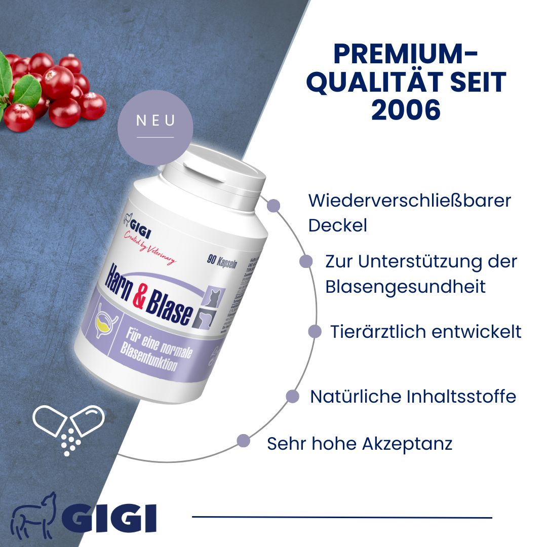 Produktflasche "Harn & Blase" mit Text. Wiederverschließbarer Deckel. Natürliche Inhaltsstoffe. Marke: GIGI.